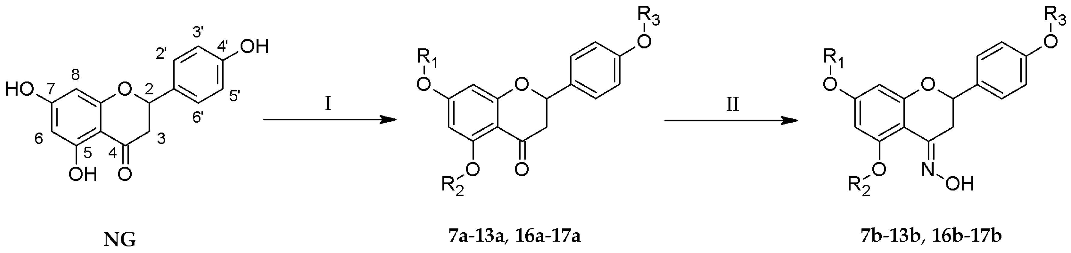 Molecules 24 00679 g001