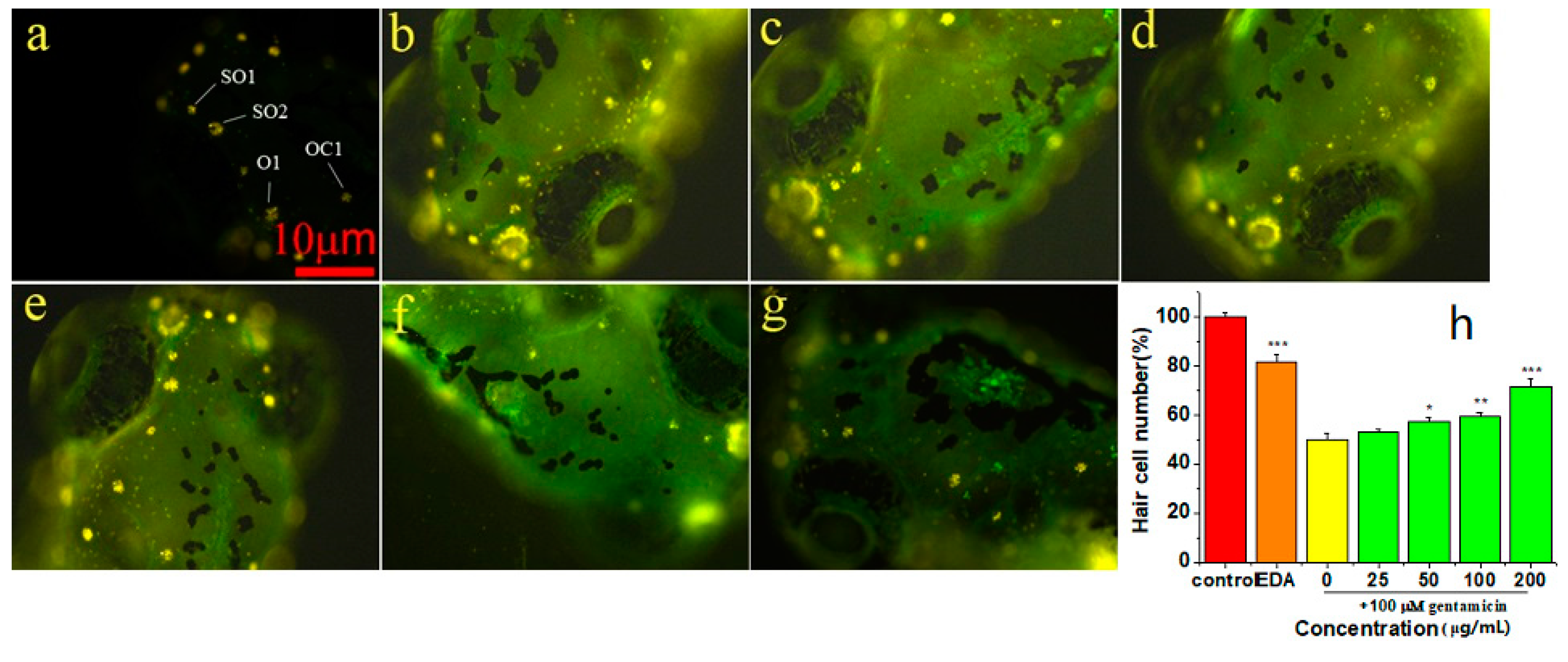Molecules 24 00749 g004