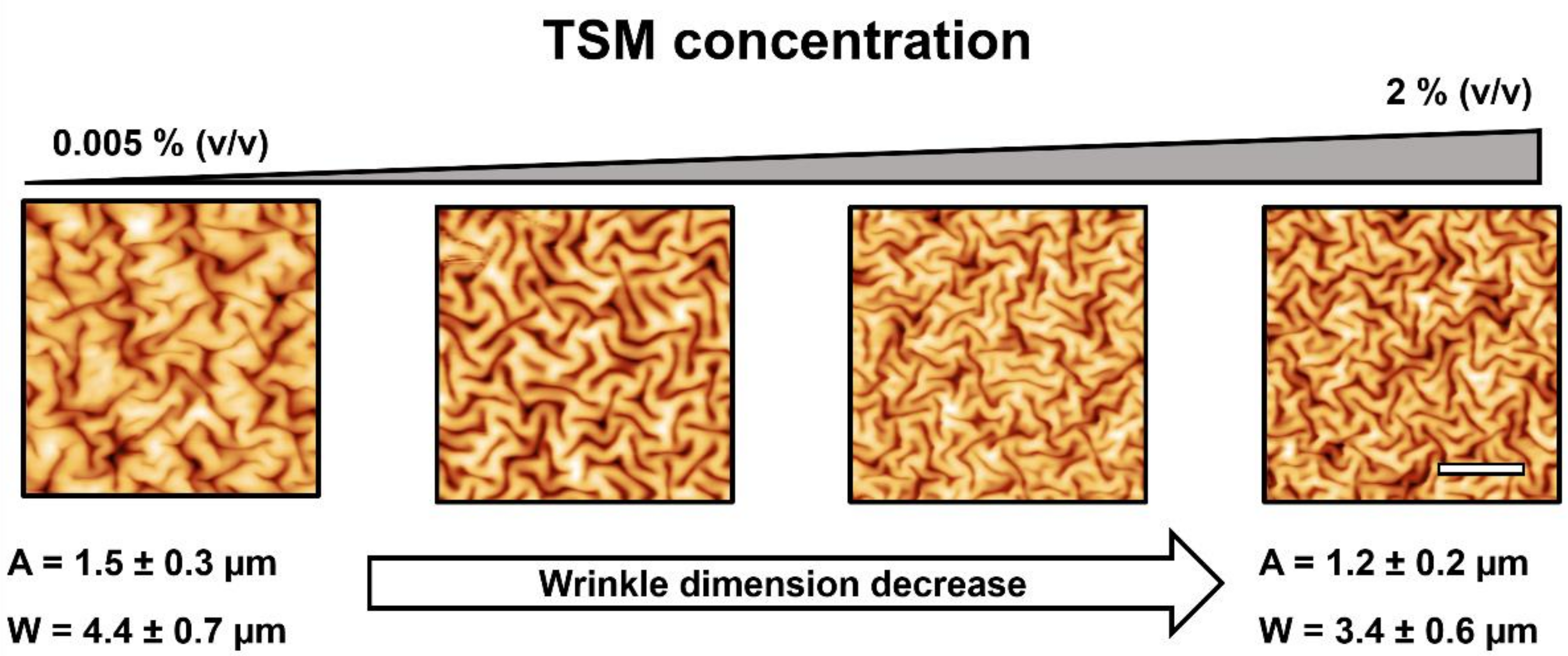 Molecules 24 00751 g002