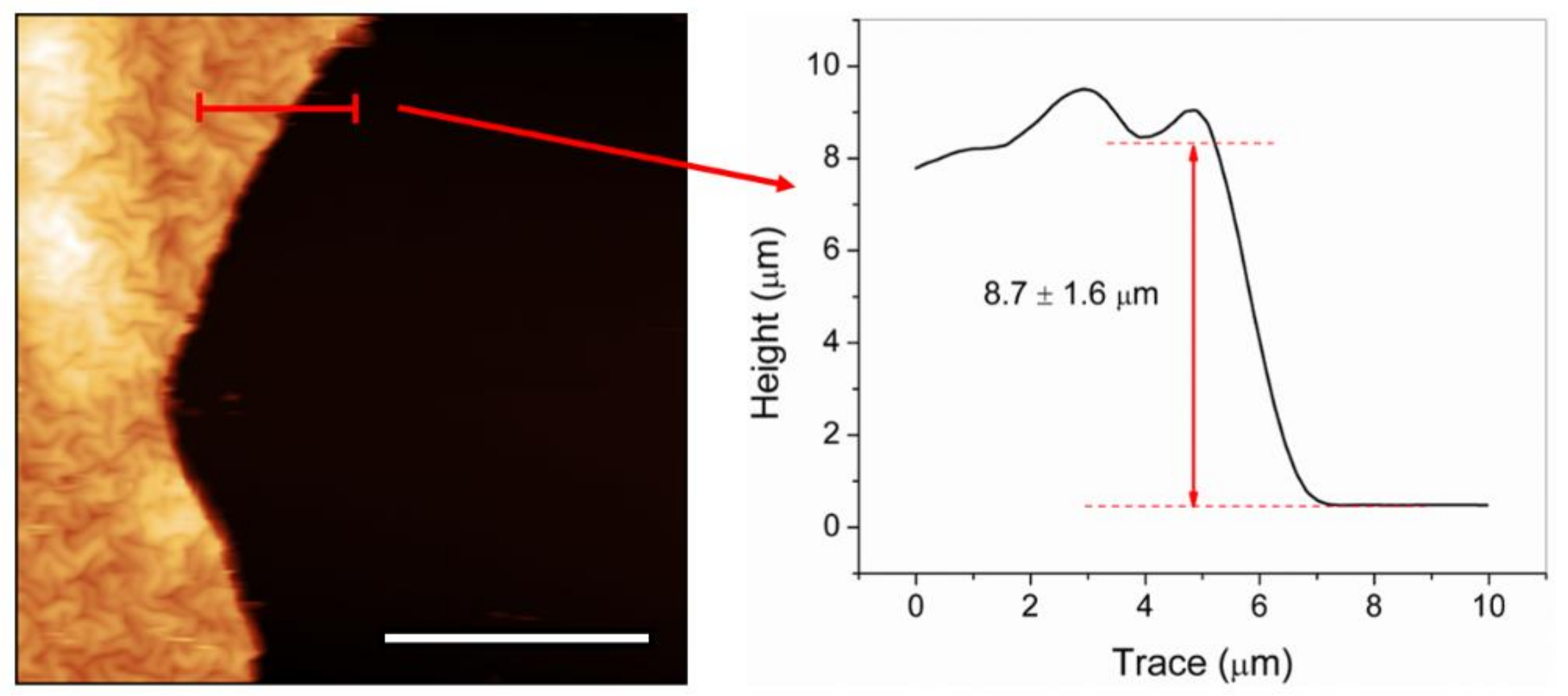 Molecules 24 00751 g004
