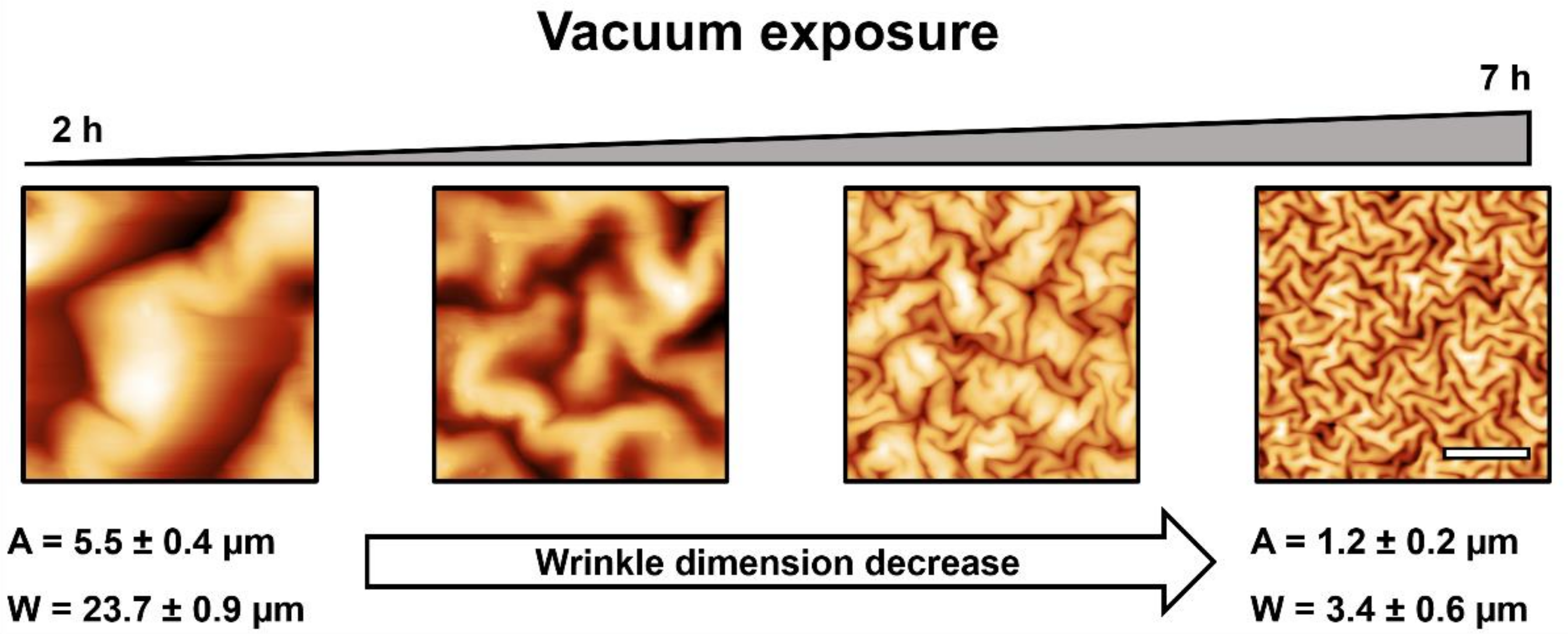 Molecules 24 00751 g005