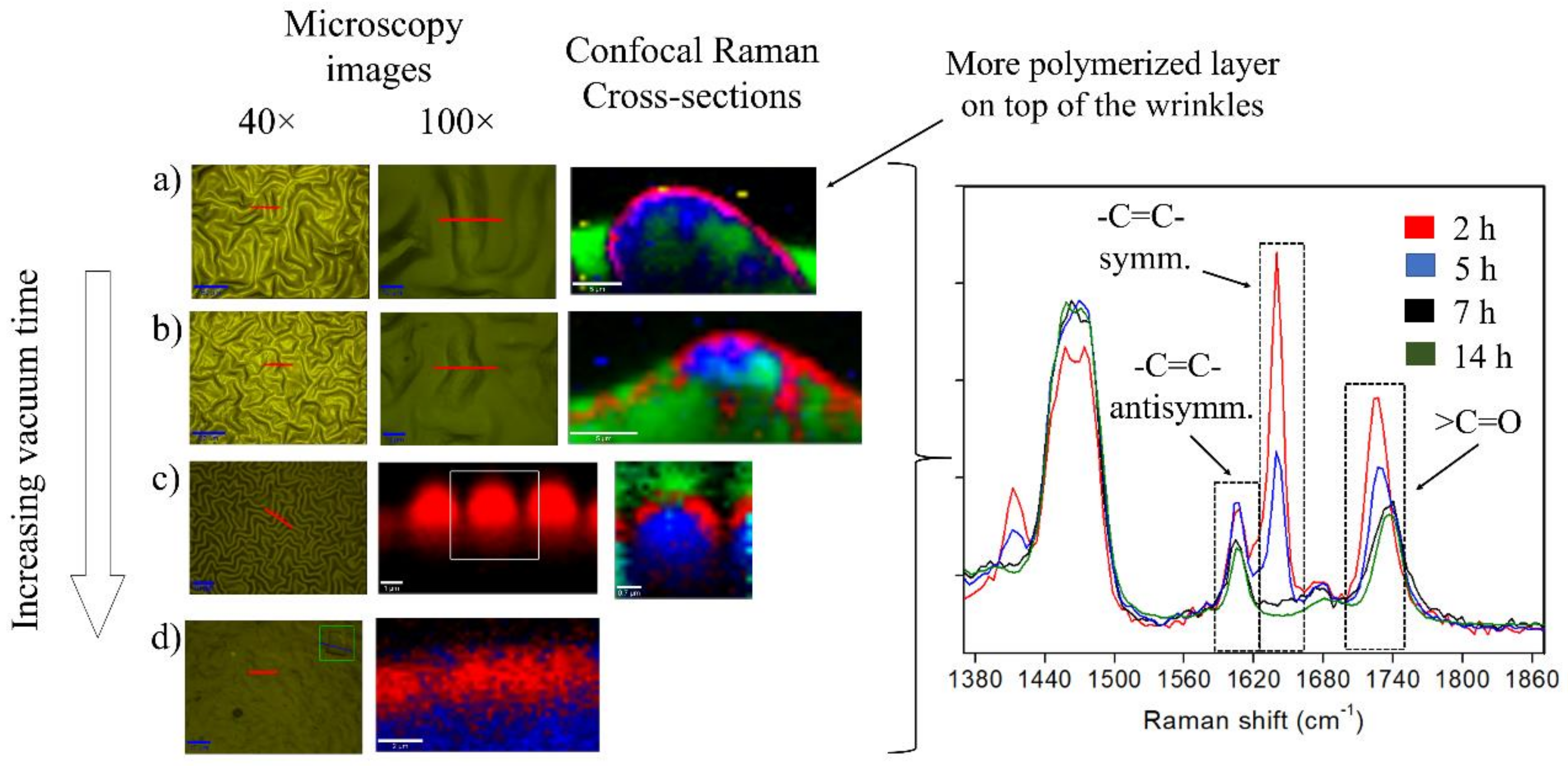 Molecules 24 00751 g007