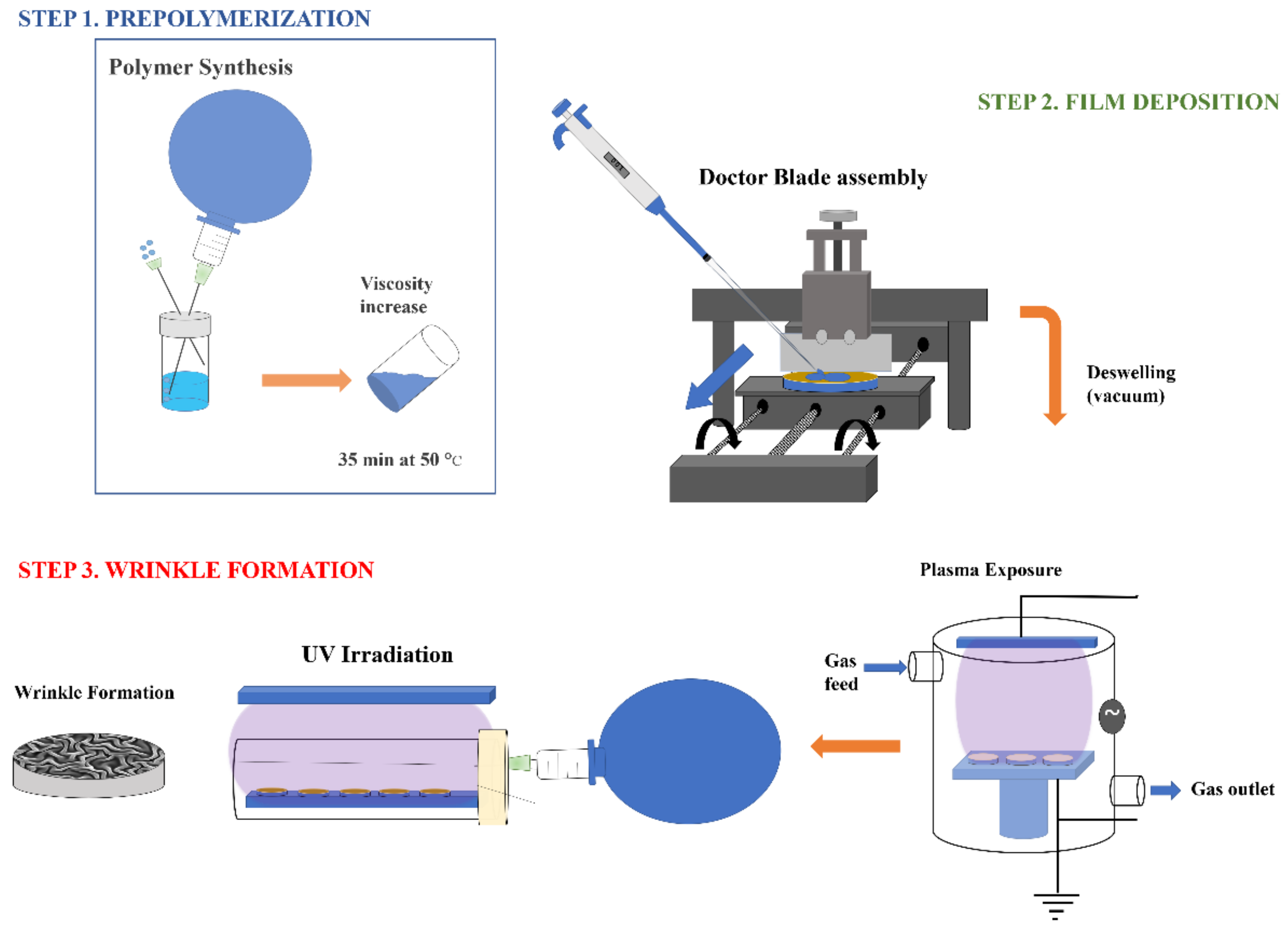 Molecules 24 00751 g010
