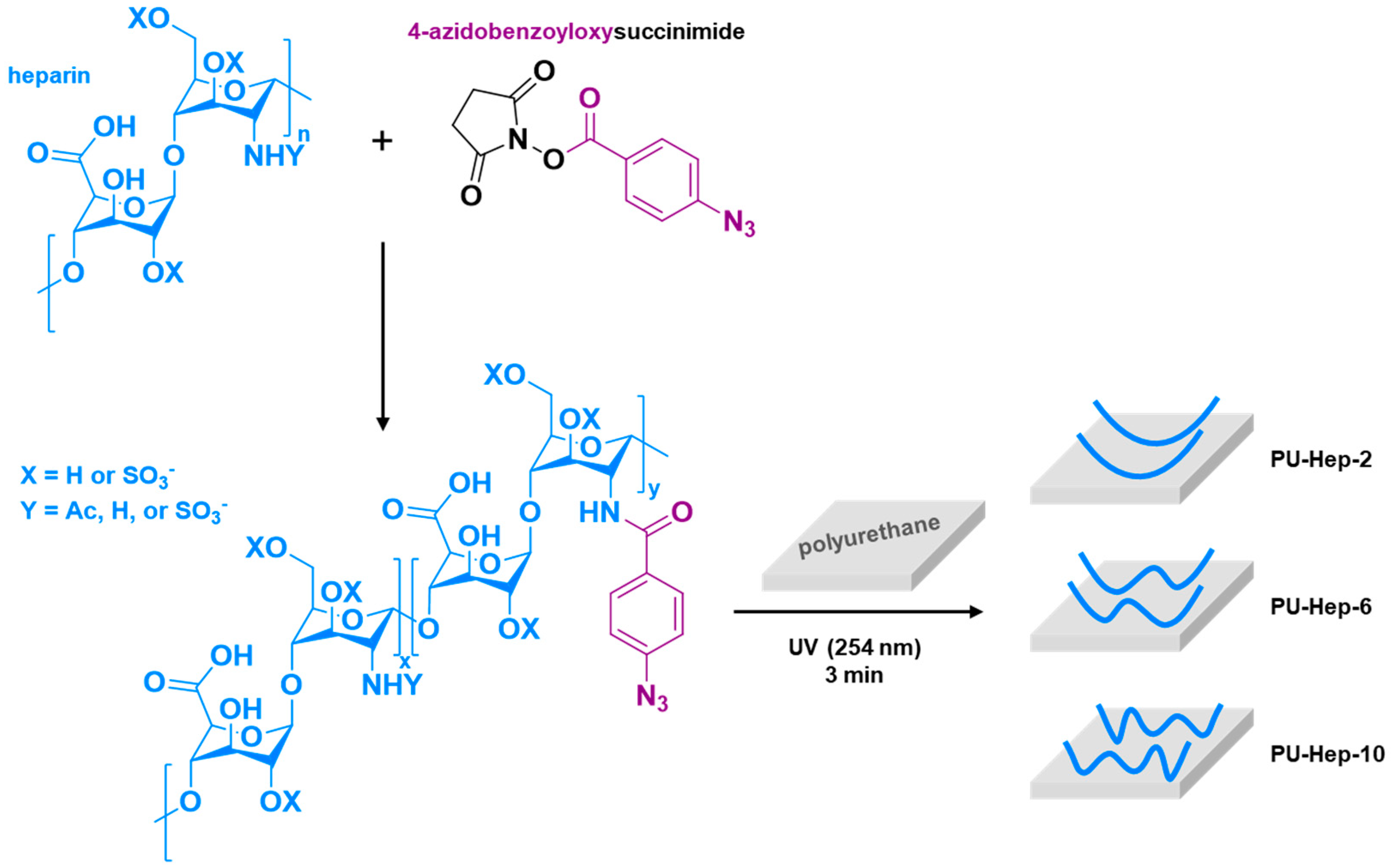 Molecules 24 00758 g001