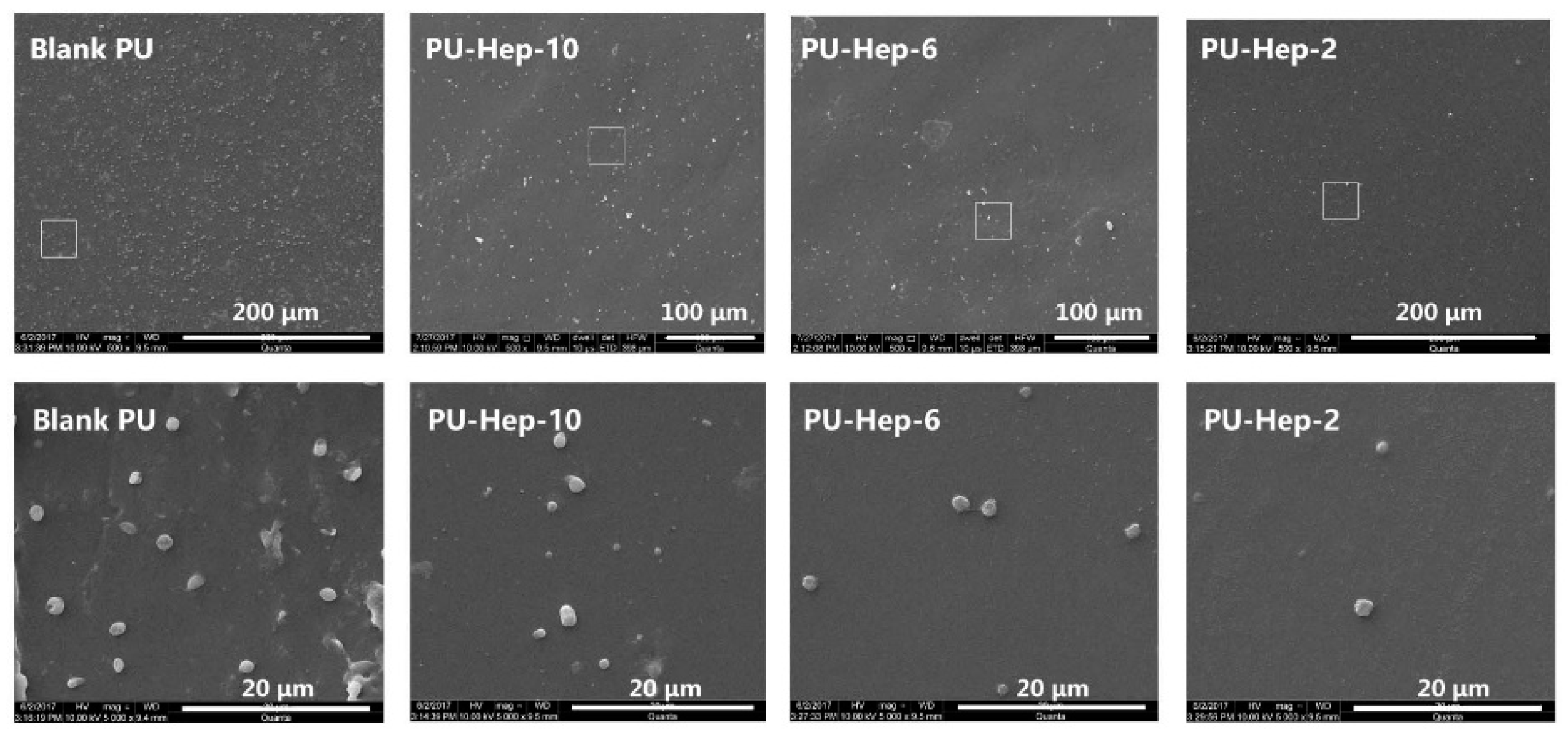 Molecules 24 00758 g005