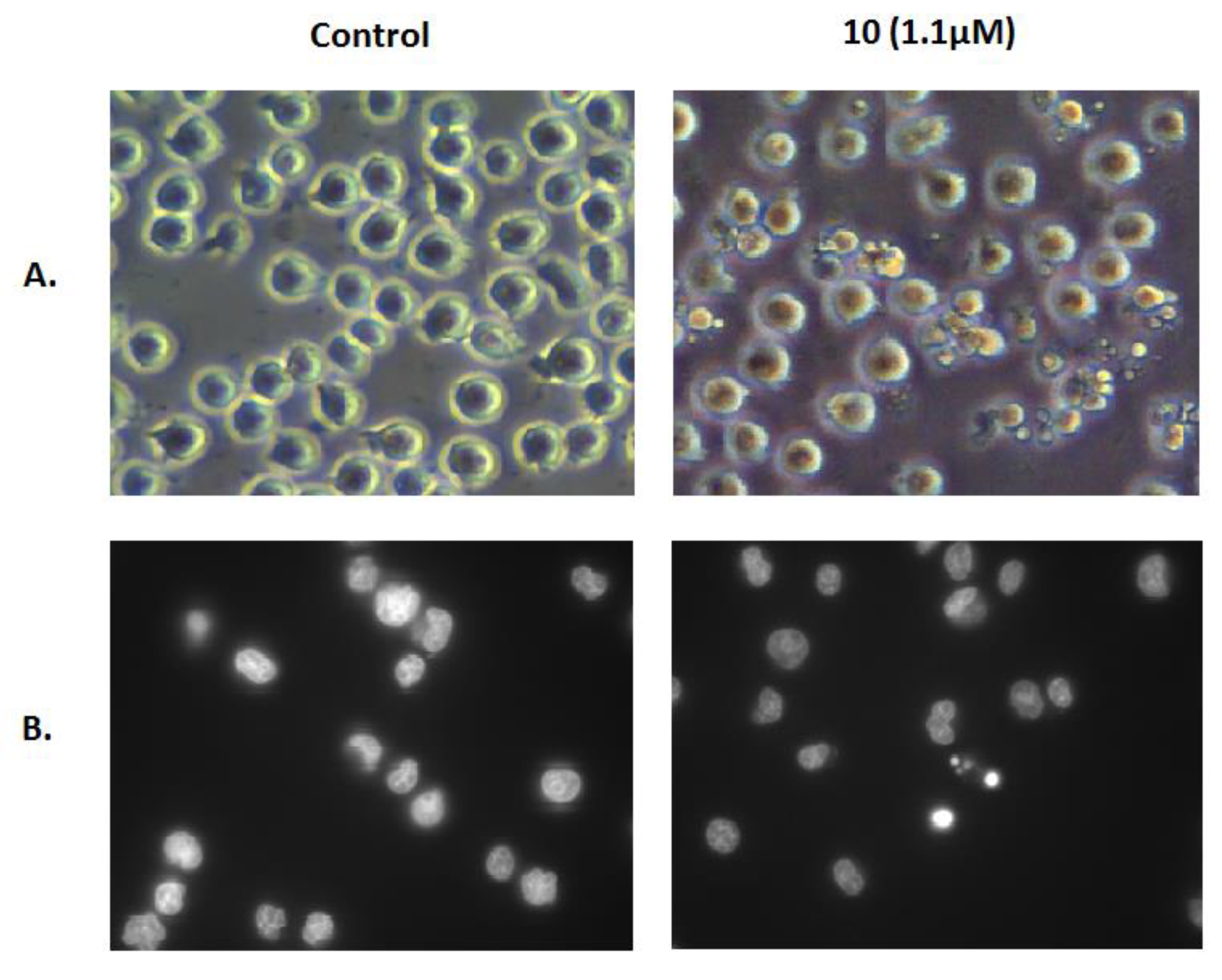 Molecules 24 00766 g005