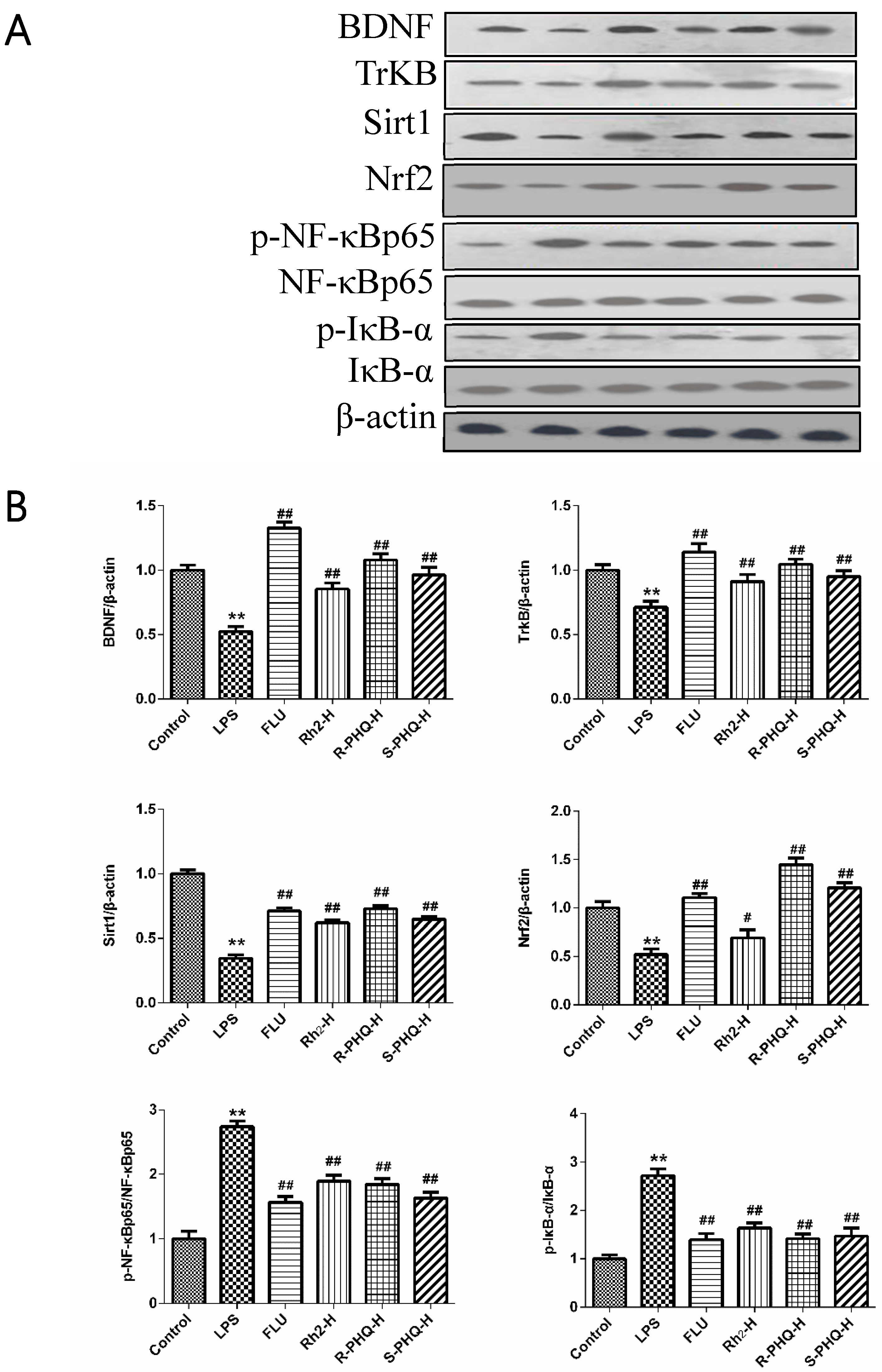 Molecules 24 00870 g002
