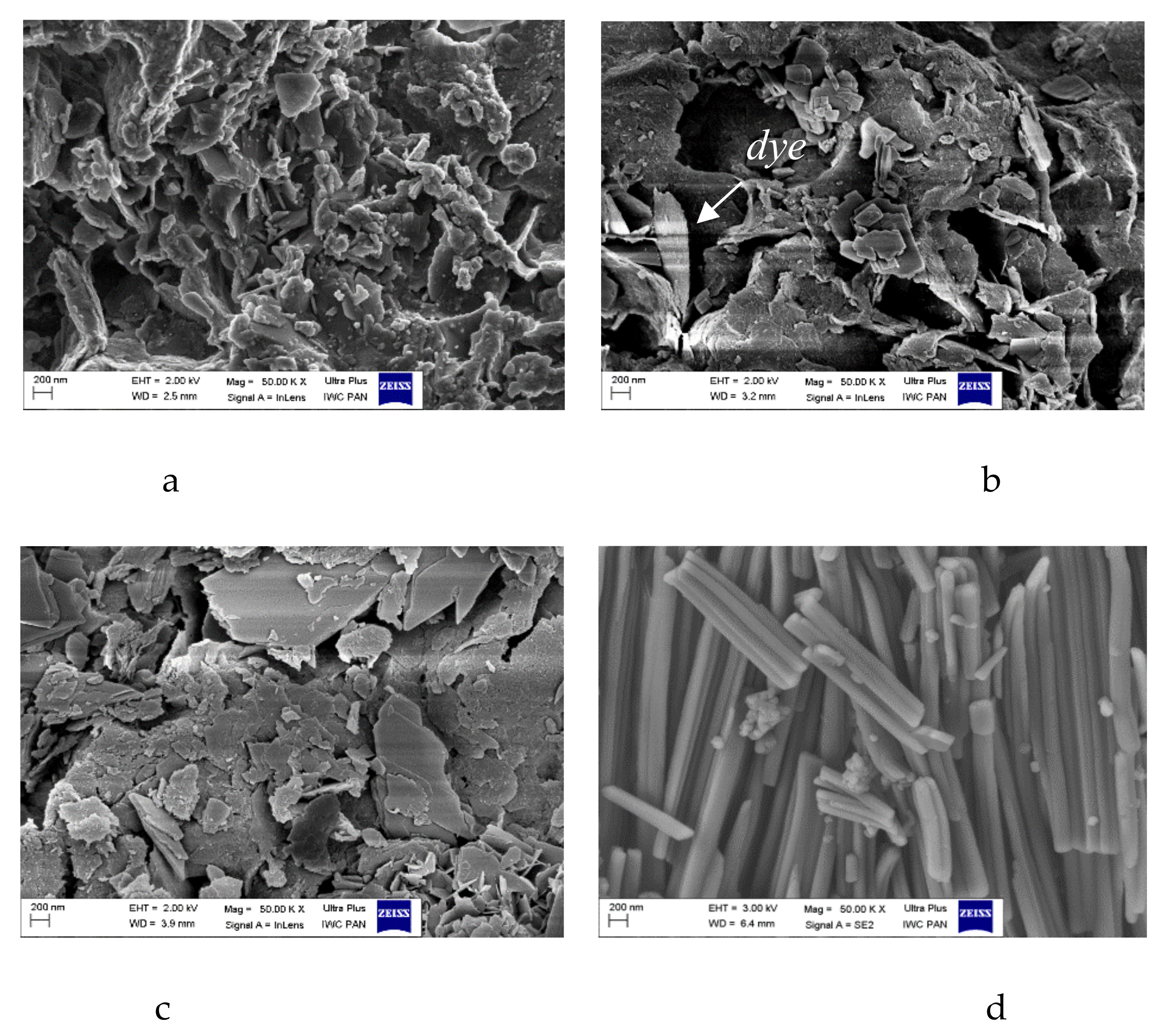 Molecules 24 00880 g006