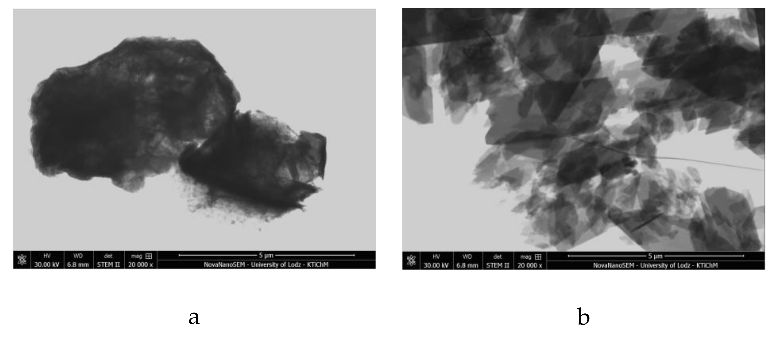 Molecules 24 00880 g007a