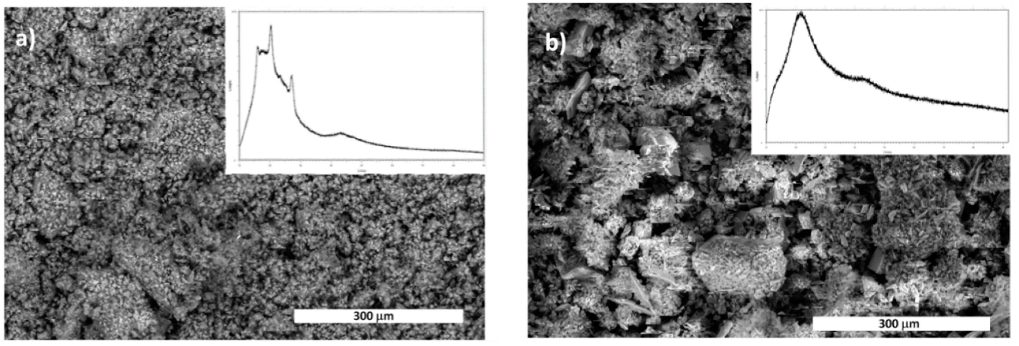 Molecules 24 01030 g004