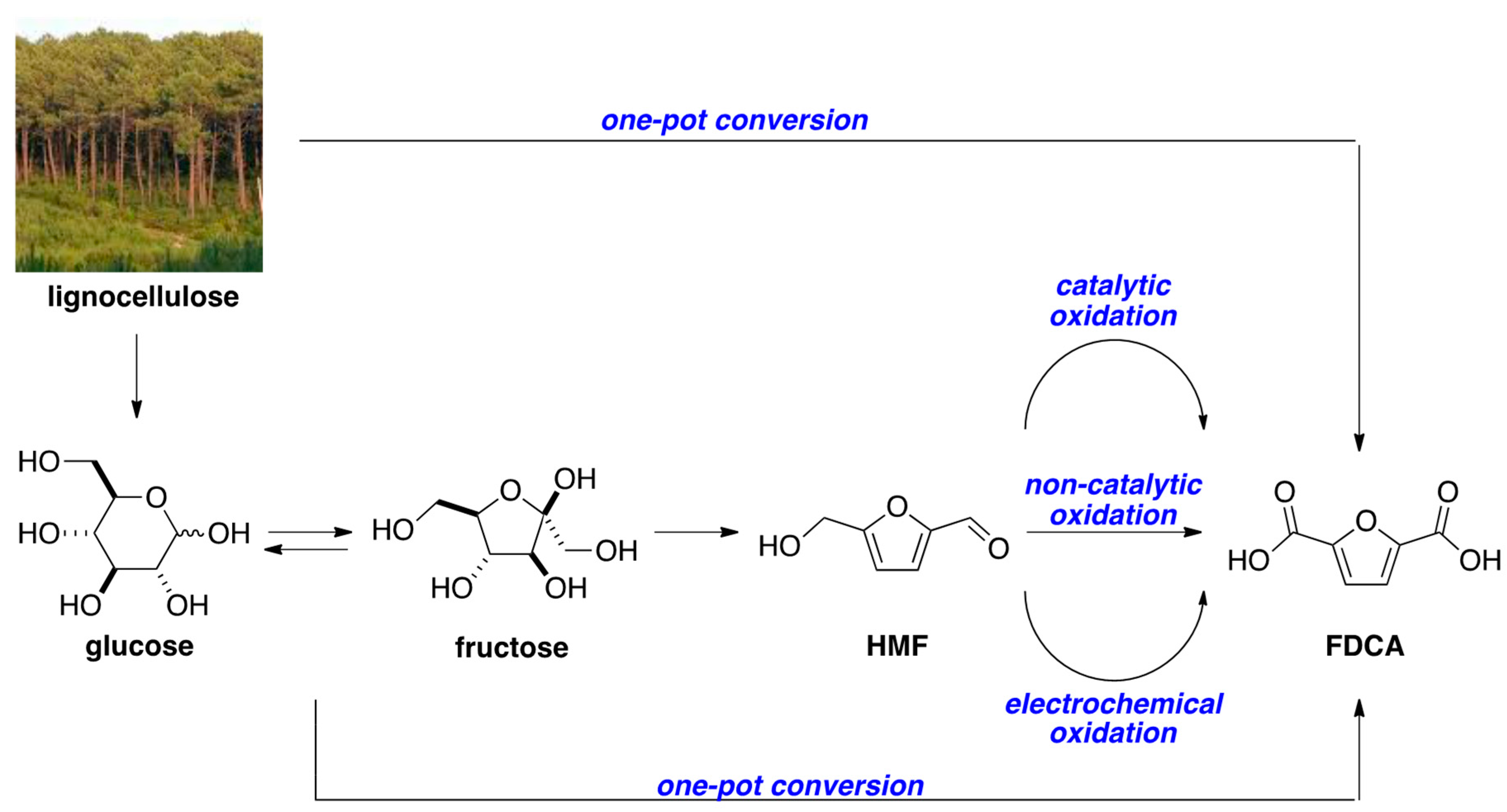 Molecules 24 01030 sch001