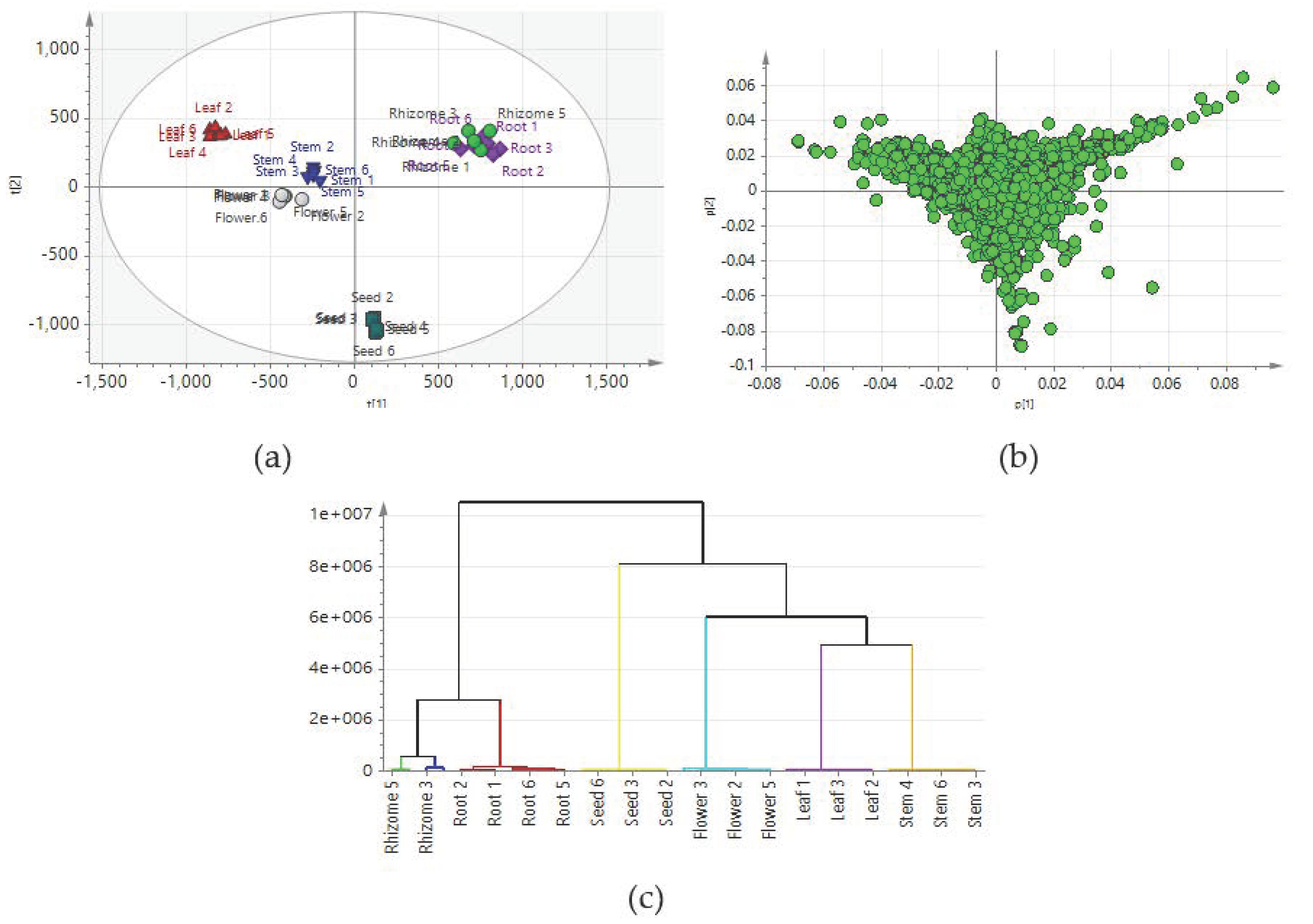 Molecules 24 01058 g001