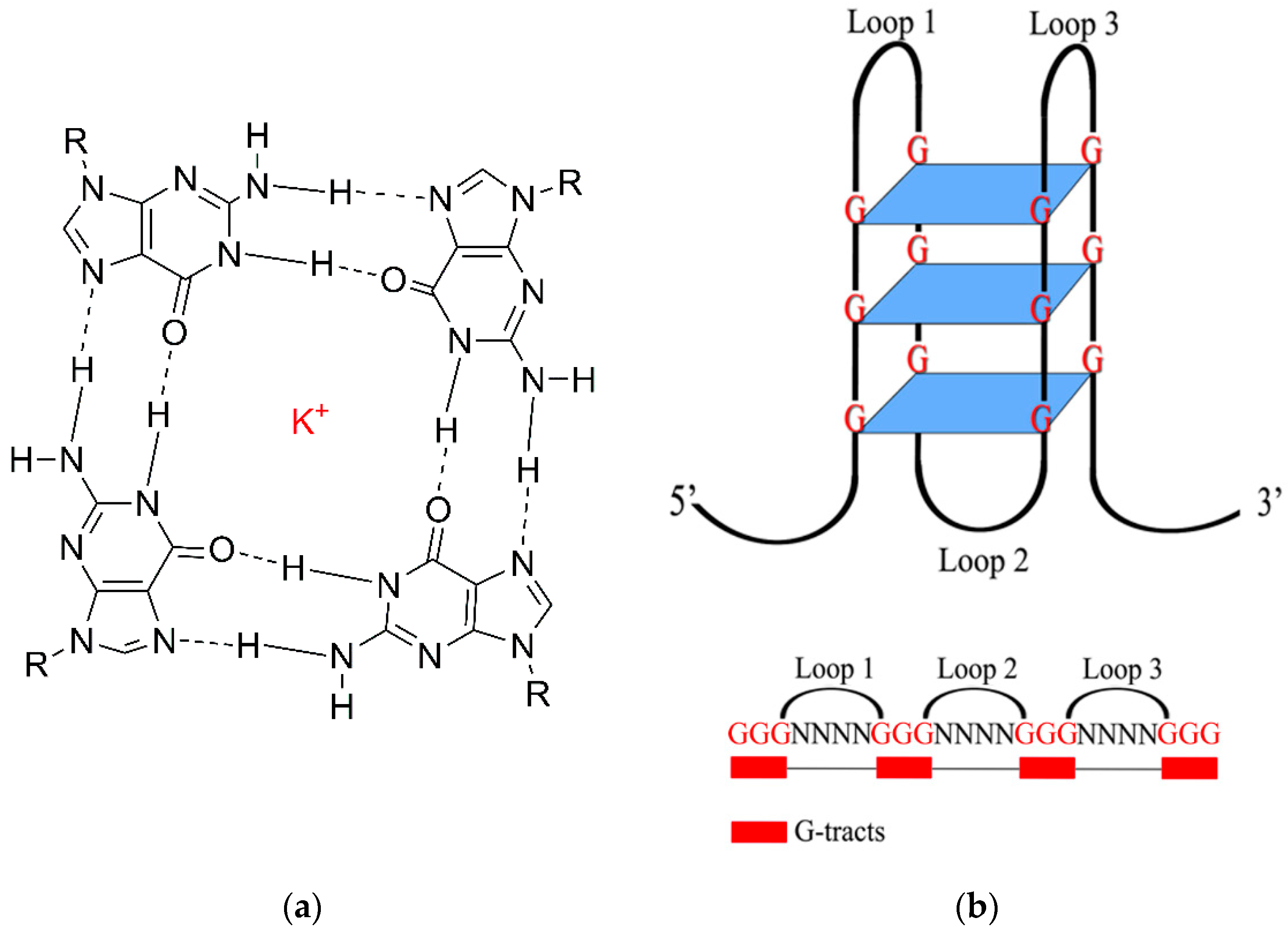 Molecules 24 01079 g003