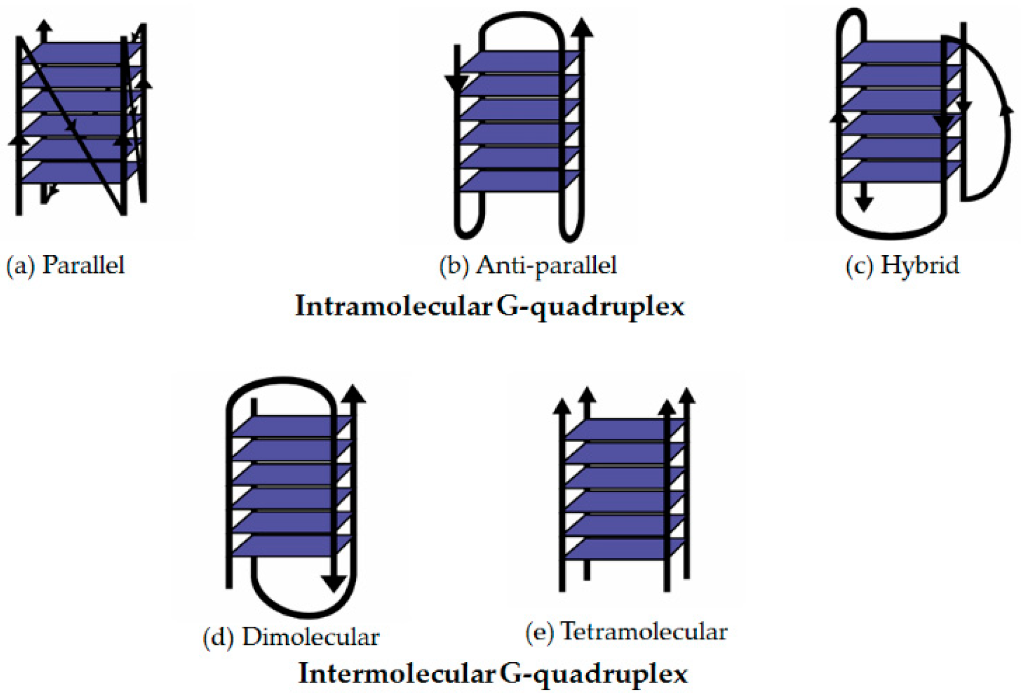 Molecules 24 01079 g004