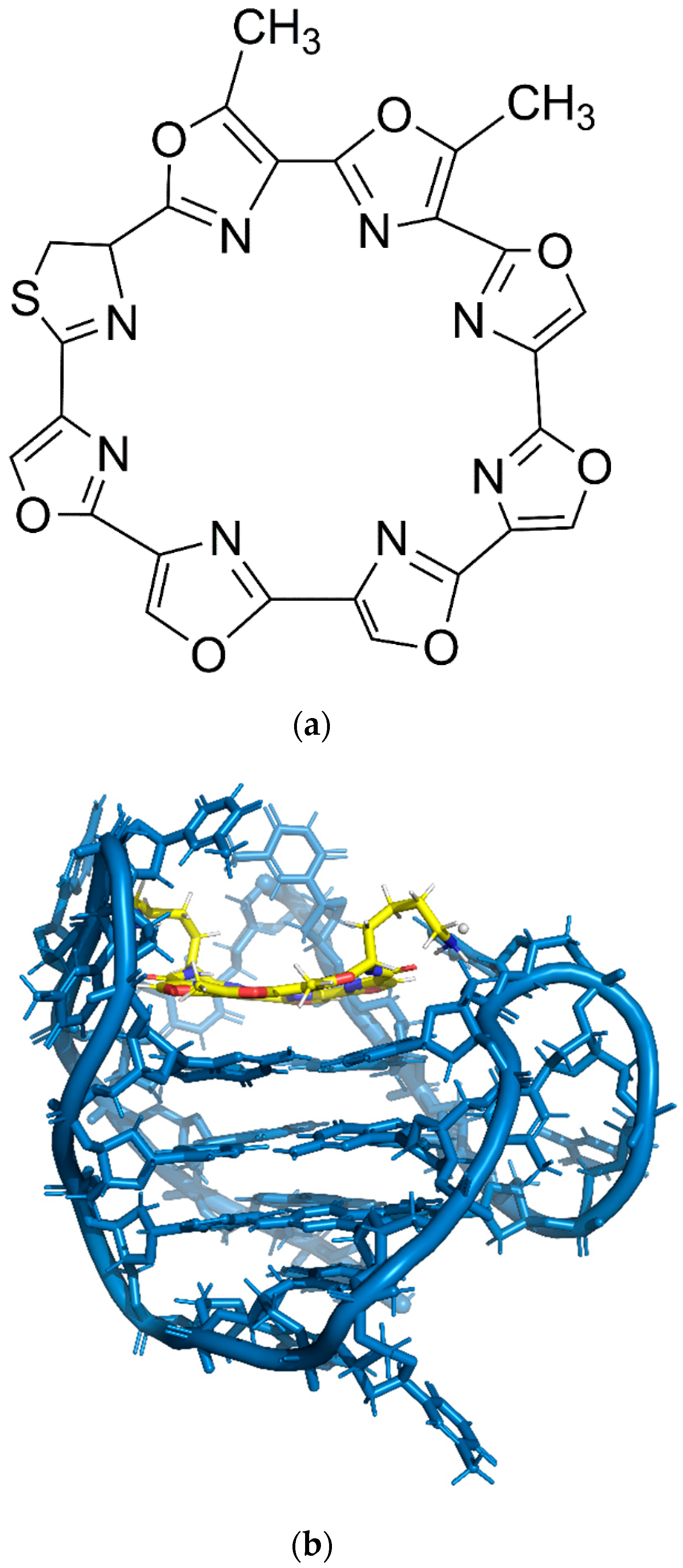 Molecules 24 01079 g006