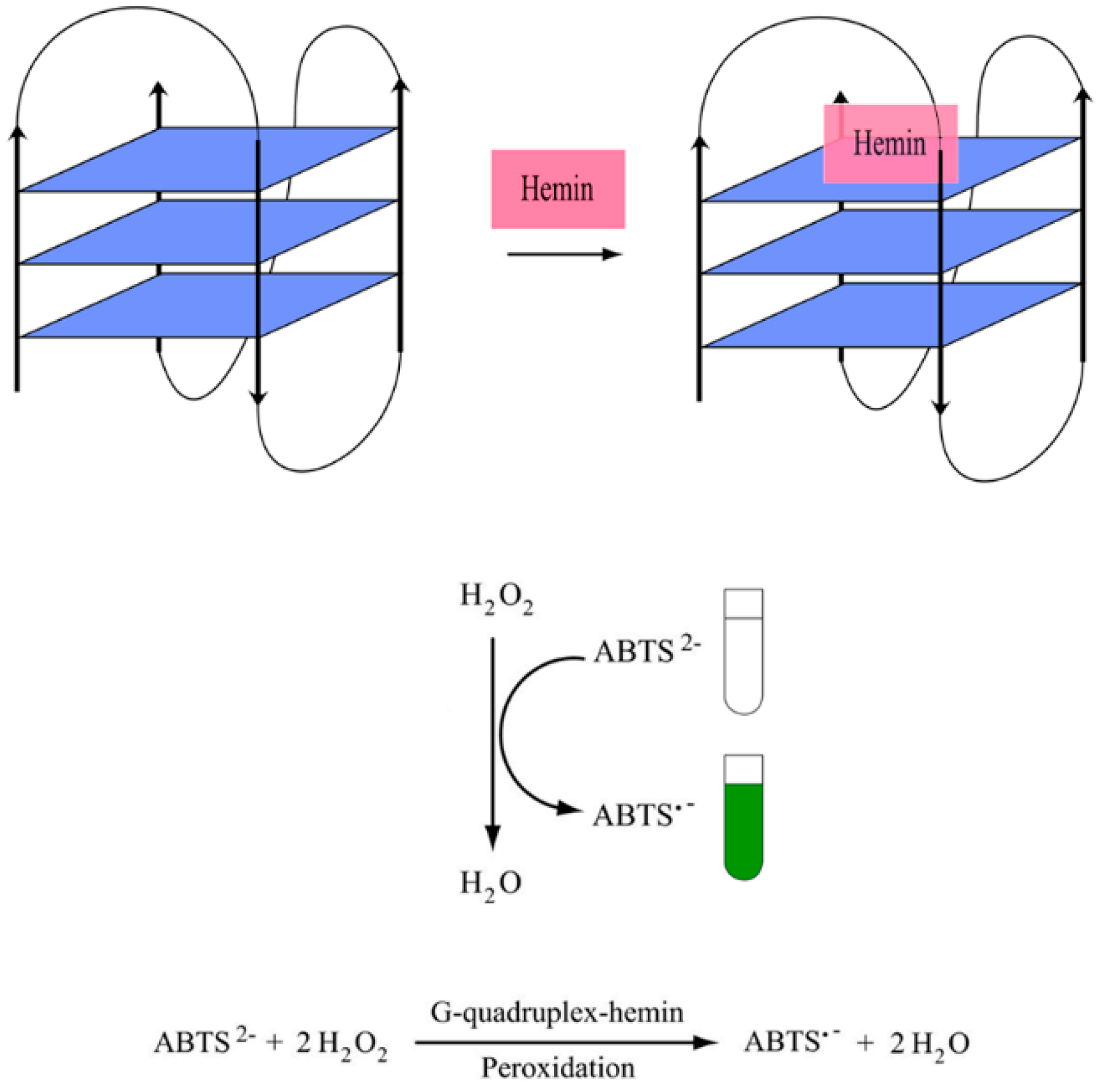 Molecules 24 01079 g009