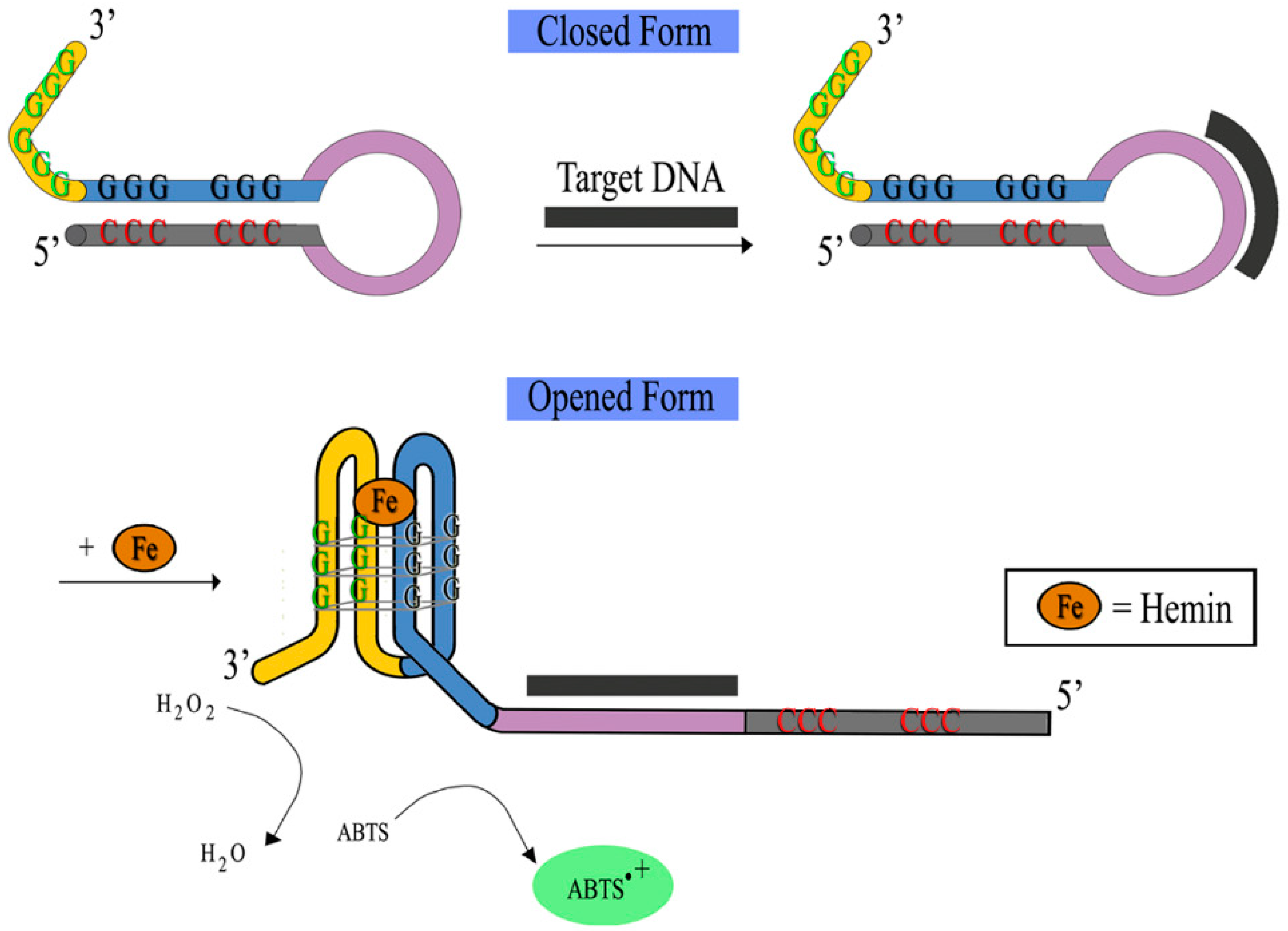 Molecules 24 01079 g011