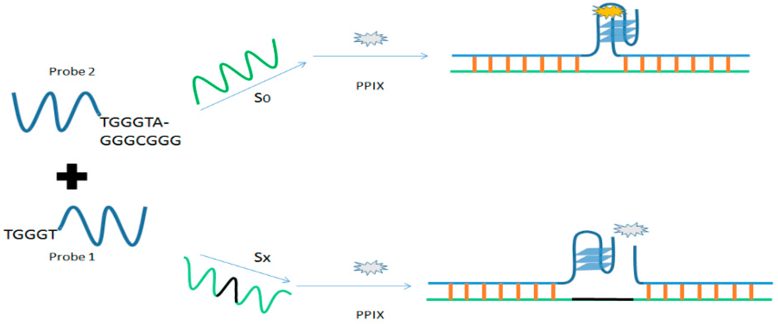 Molecules 24 01079 g013