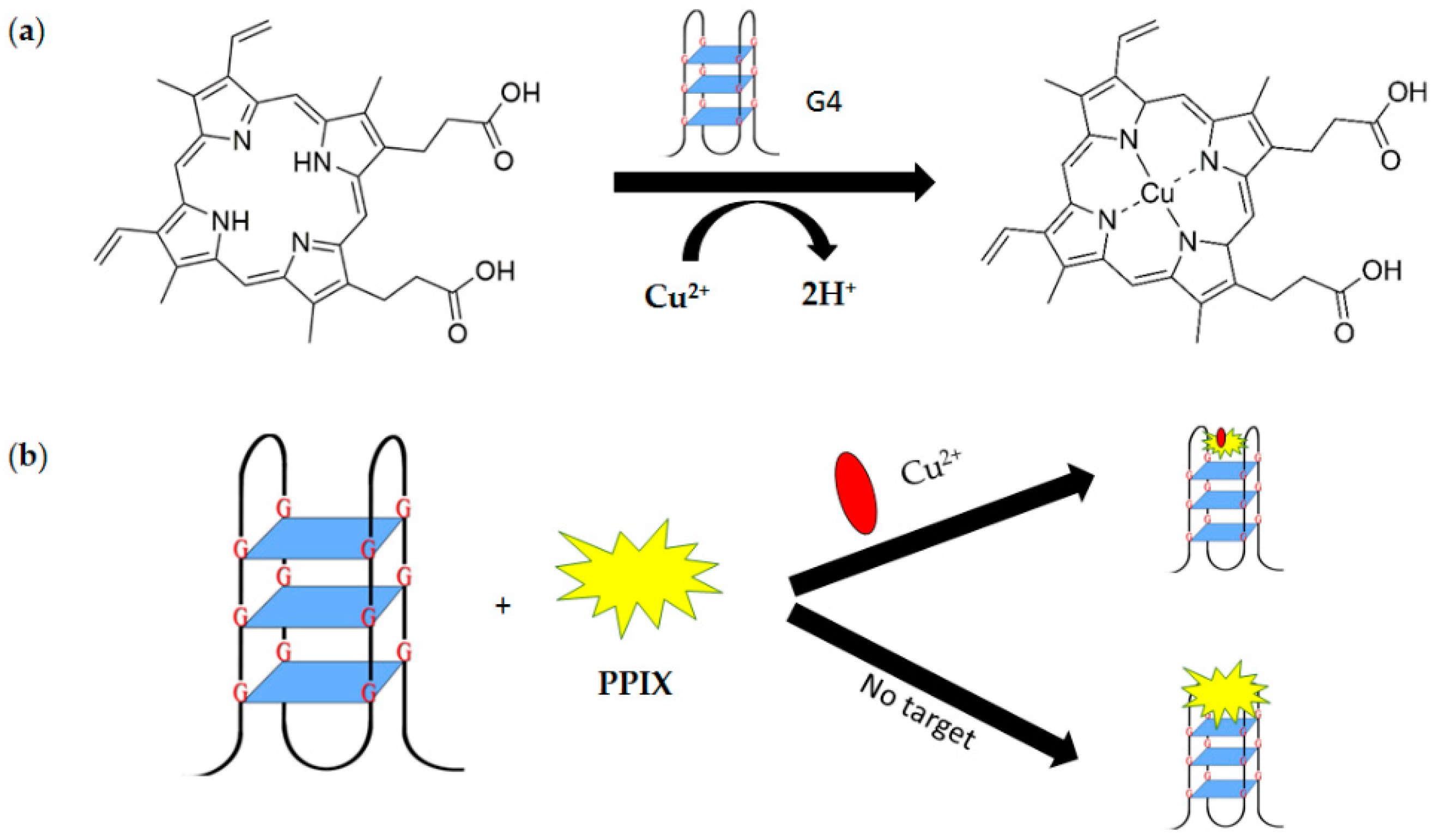 Molecules 24 01079 g014