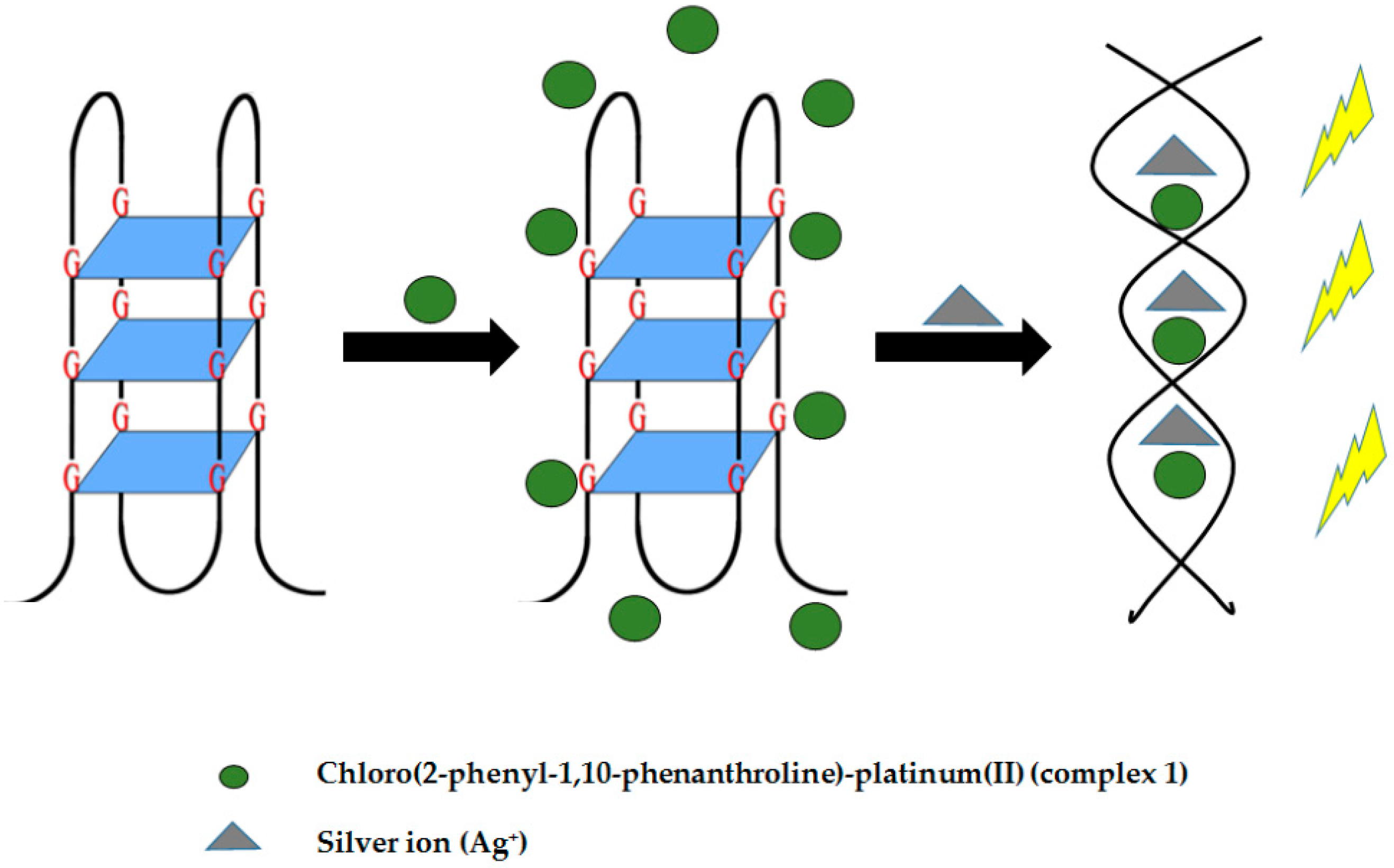 Molecules 24 01079 g019