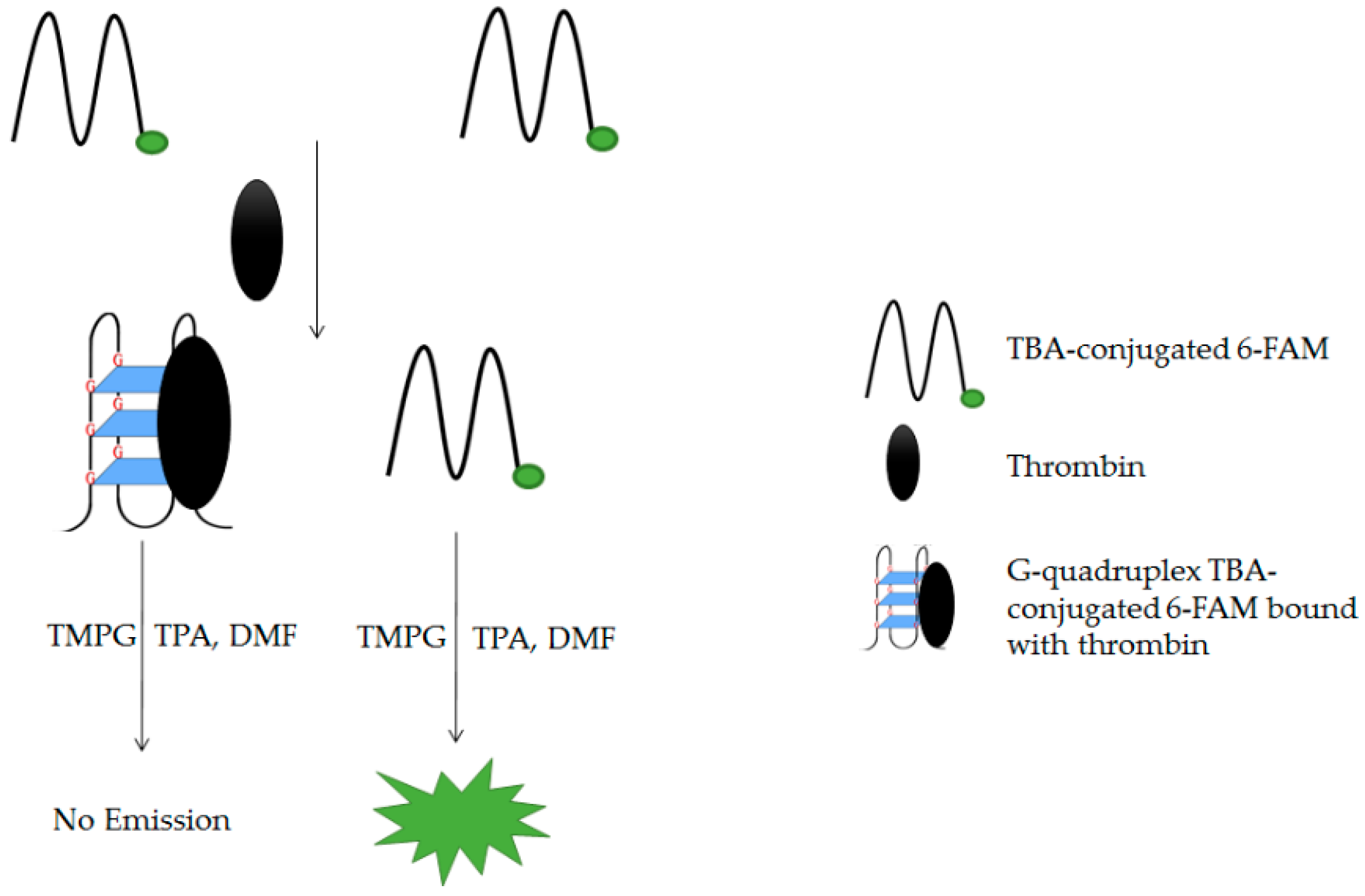 Molecules 24 01079 g020