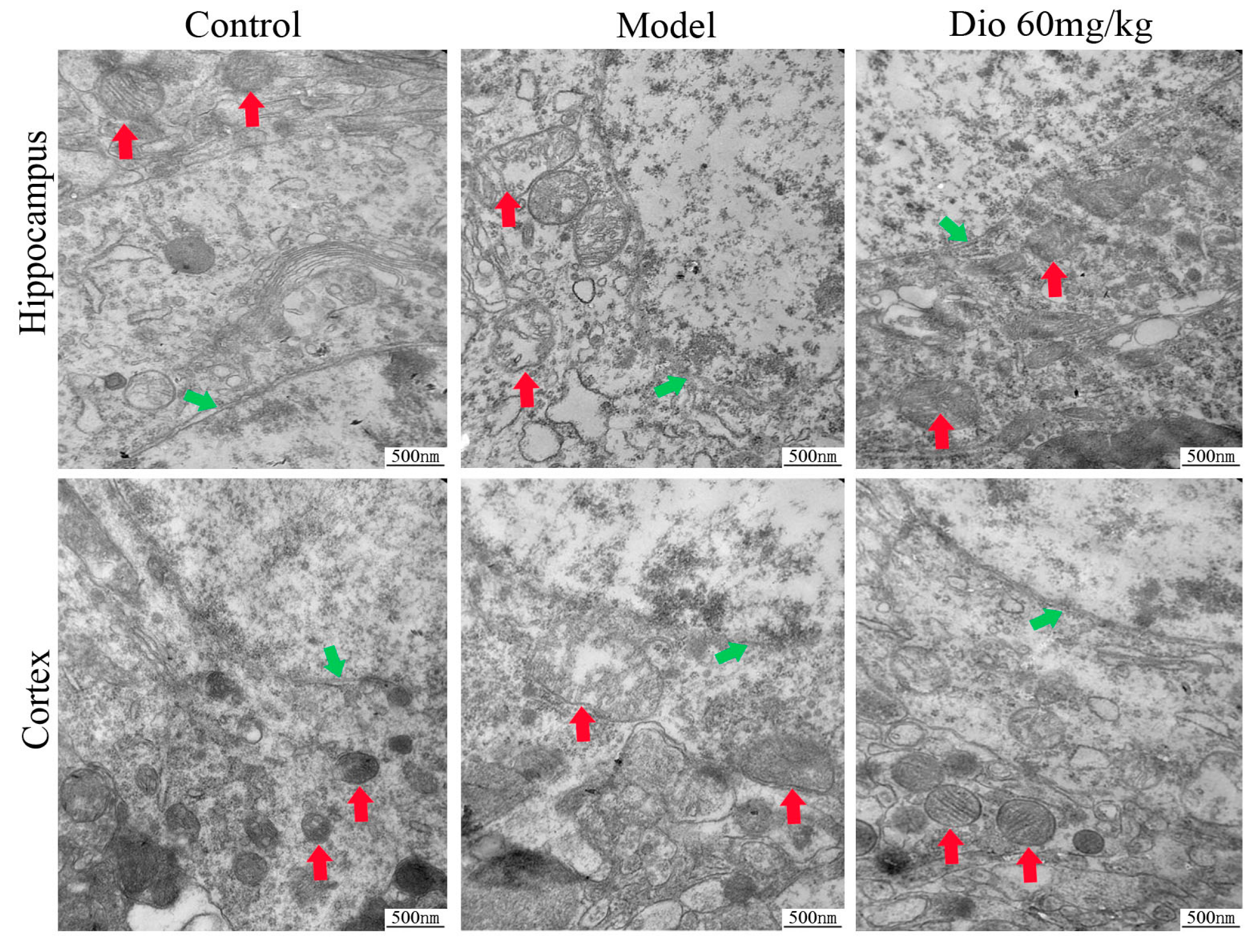 Molecules 24 01247 g005