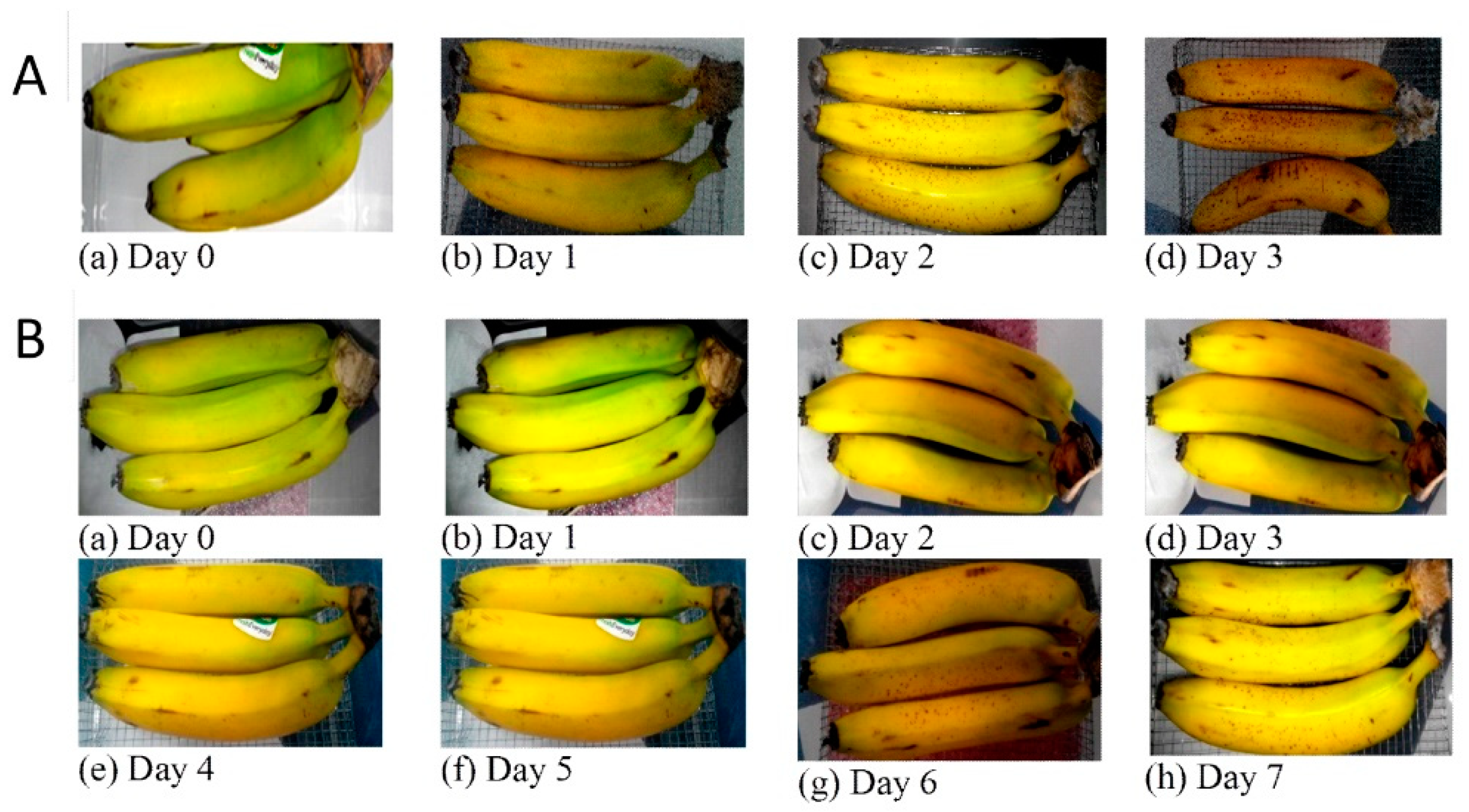Molecules 24 01507 g004