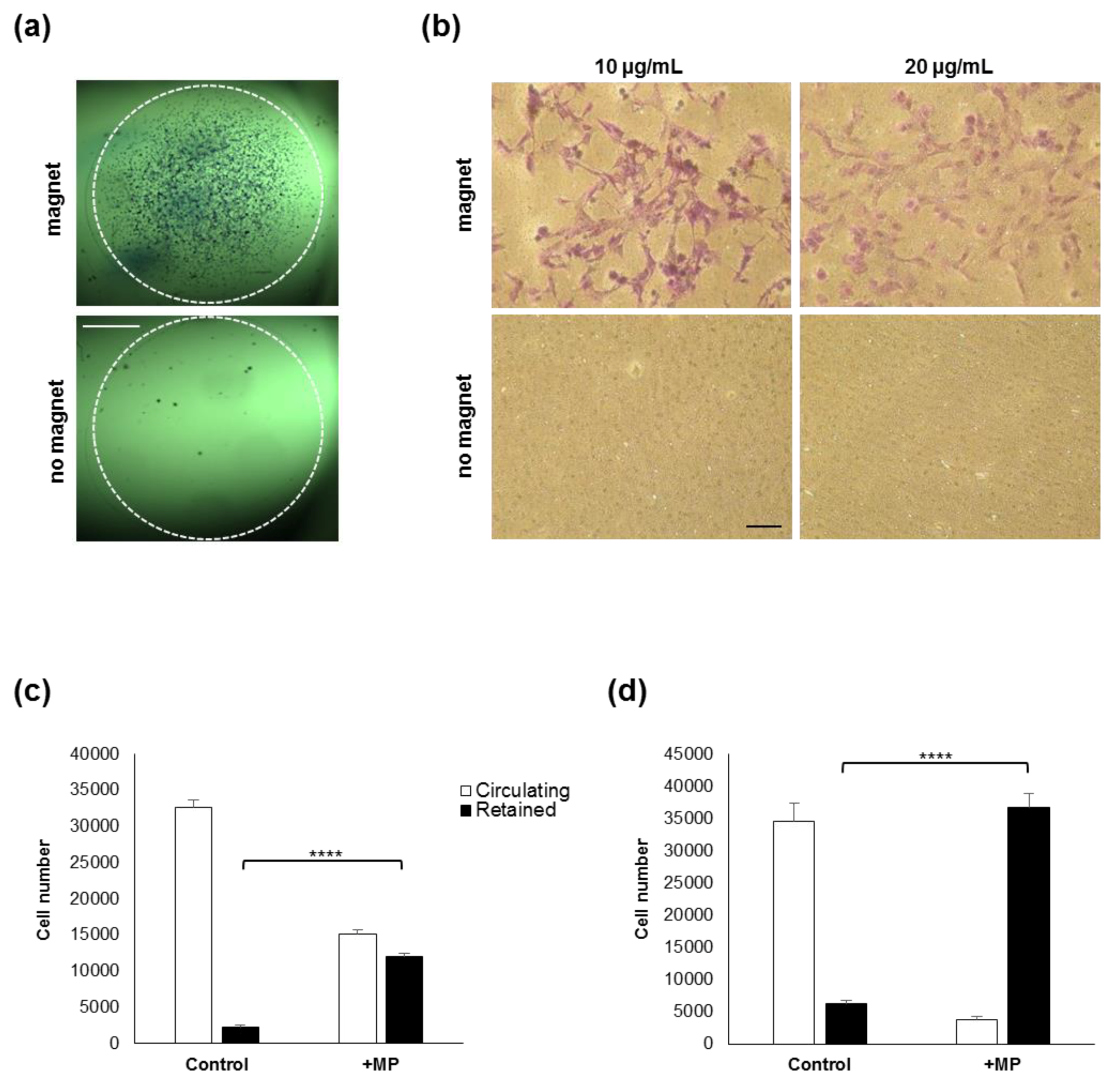 Molecules 24 01563 g002