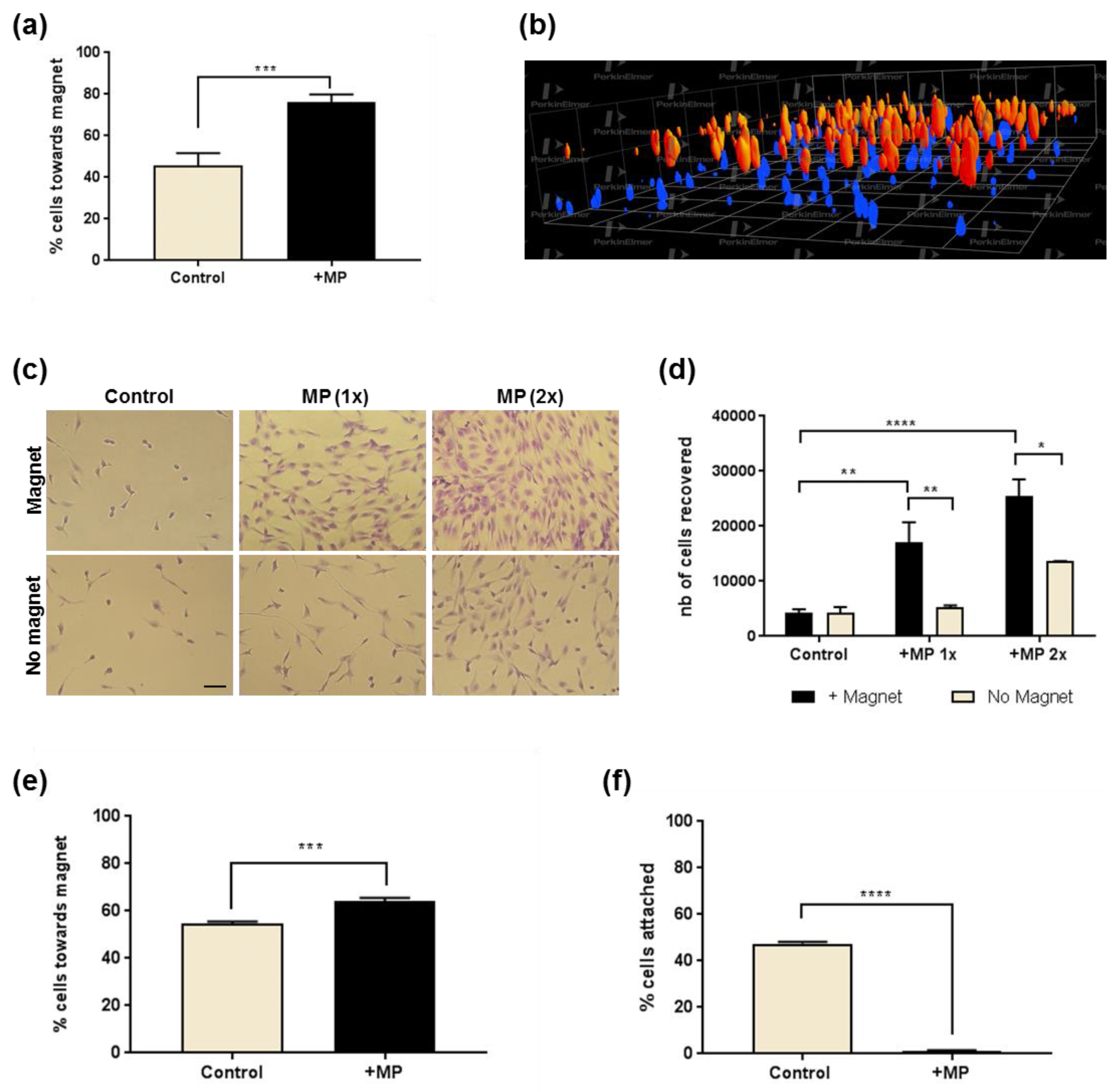 Molecules 24 01563 g003