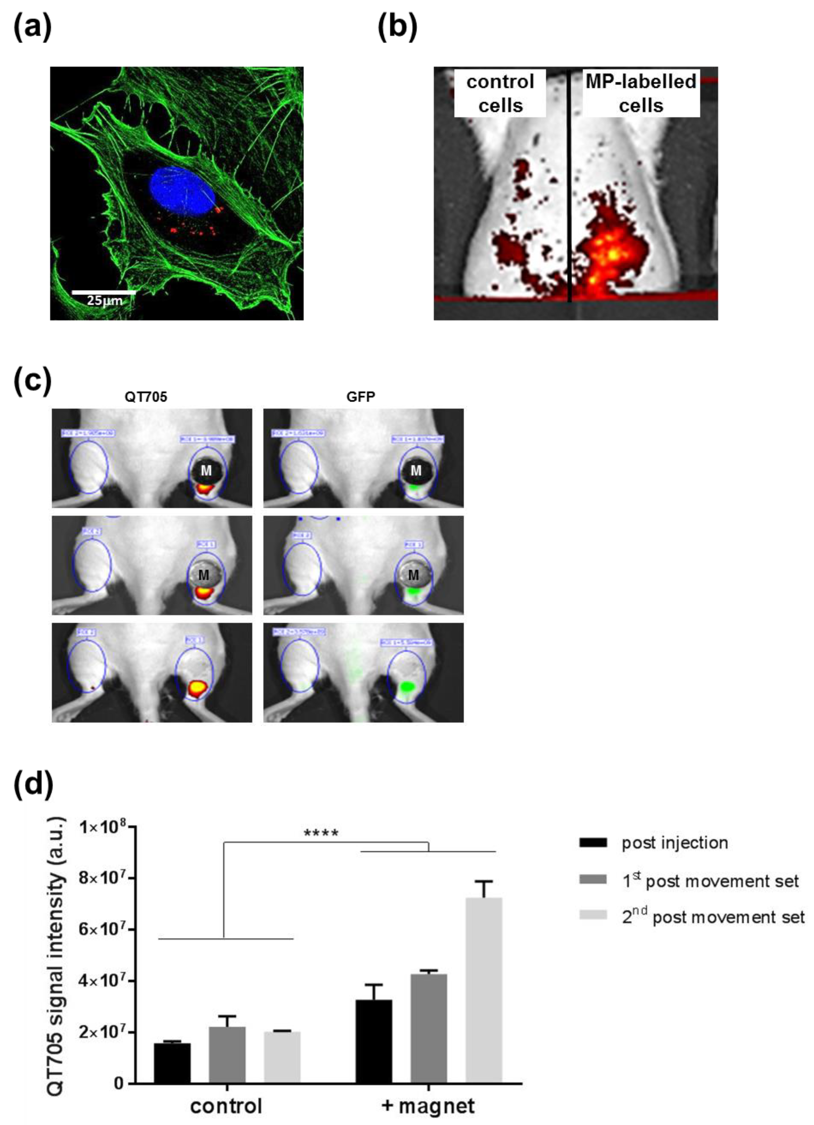 Molecules 24 01563 g004