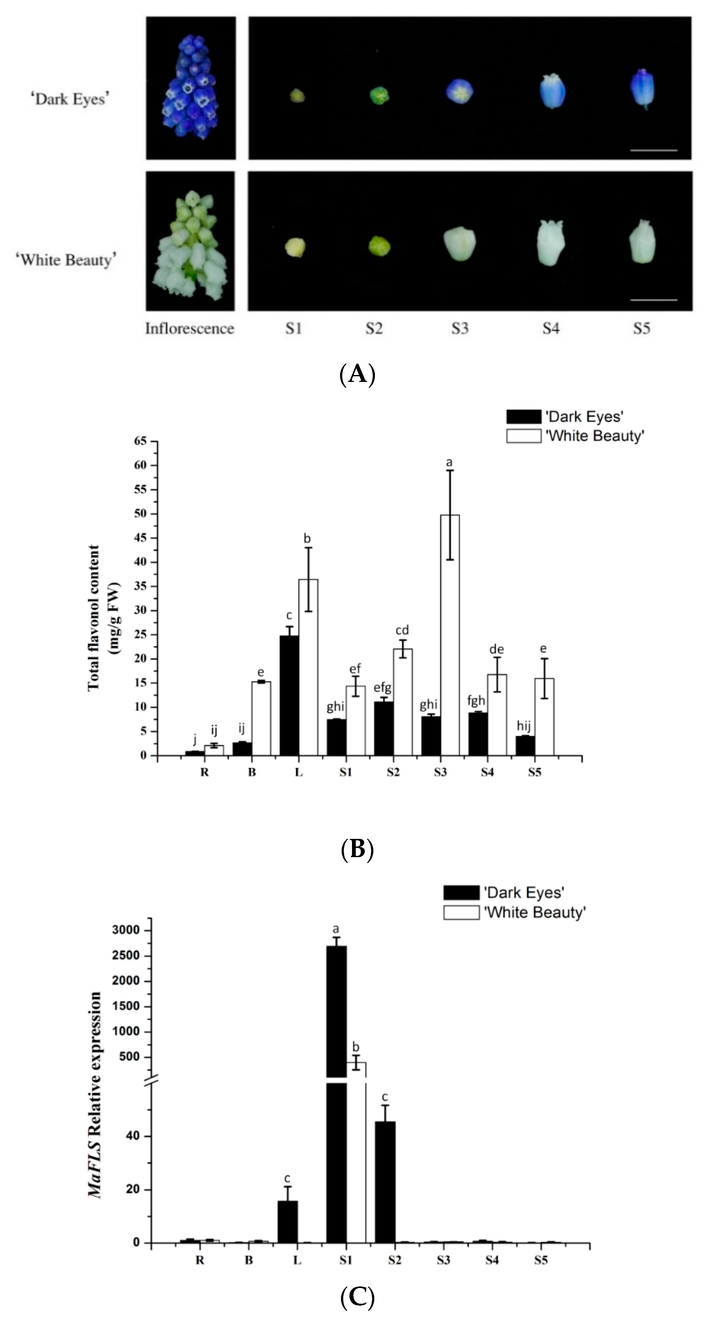 Molecules 24 01579 g003