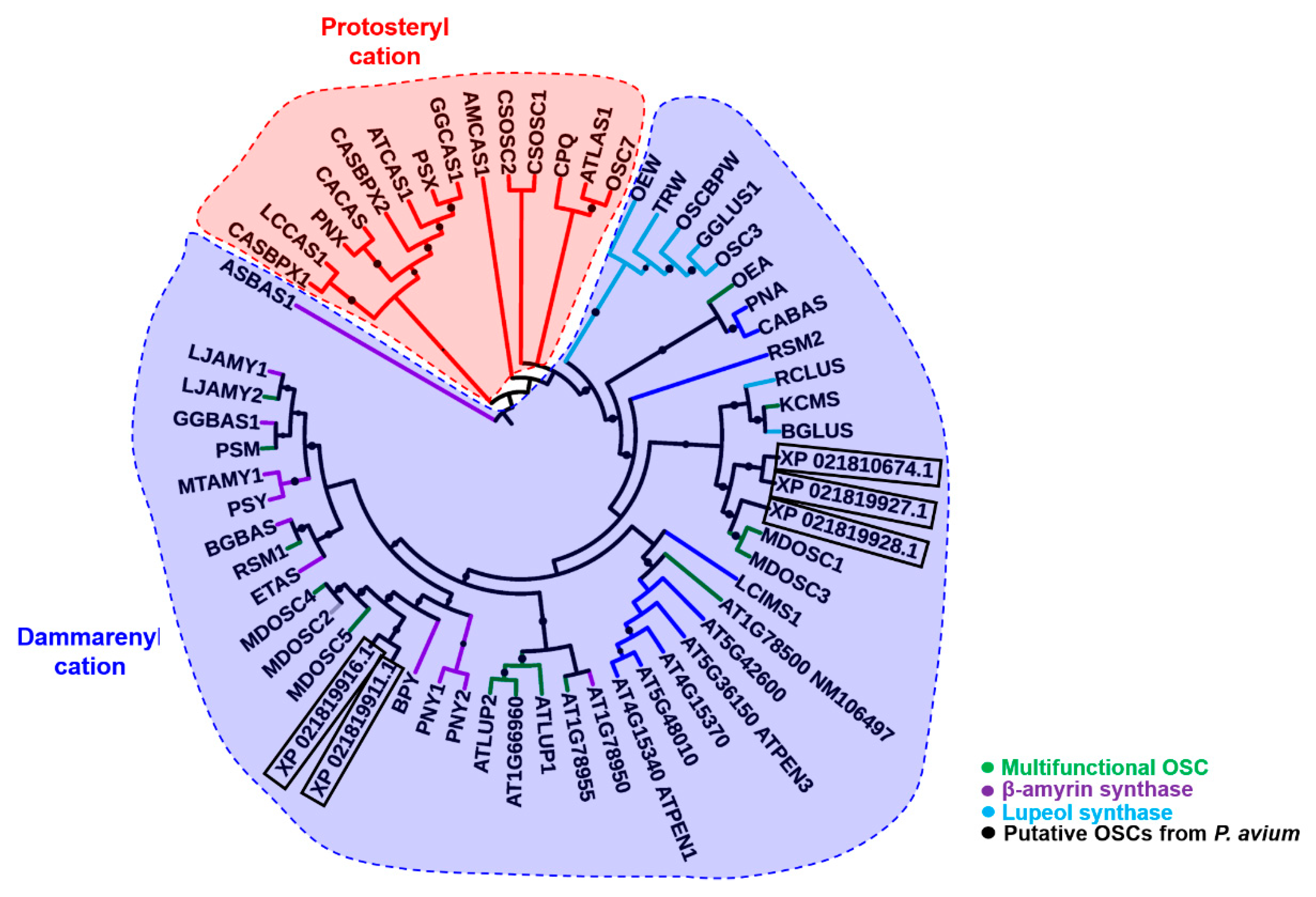 Molecules 24 01590 g001