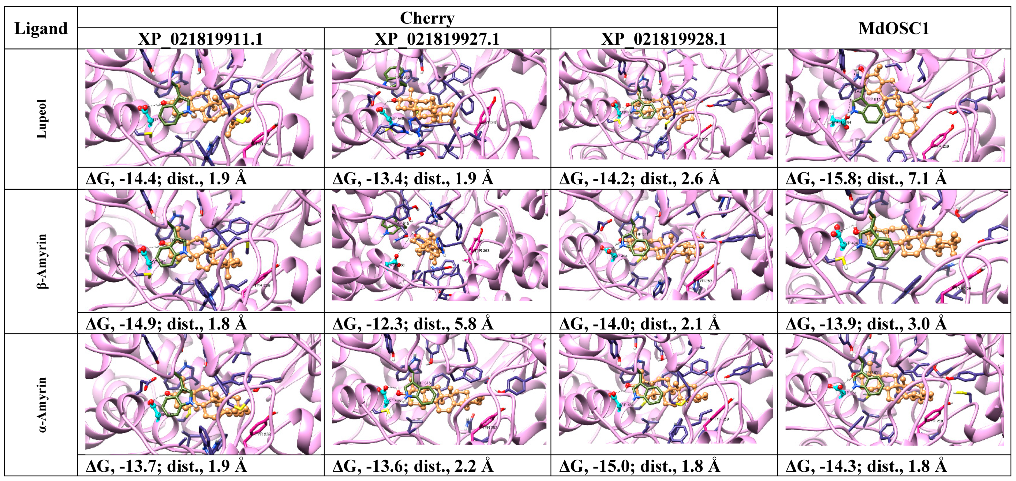 Molecules 24 01590 g010