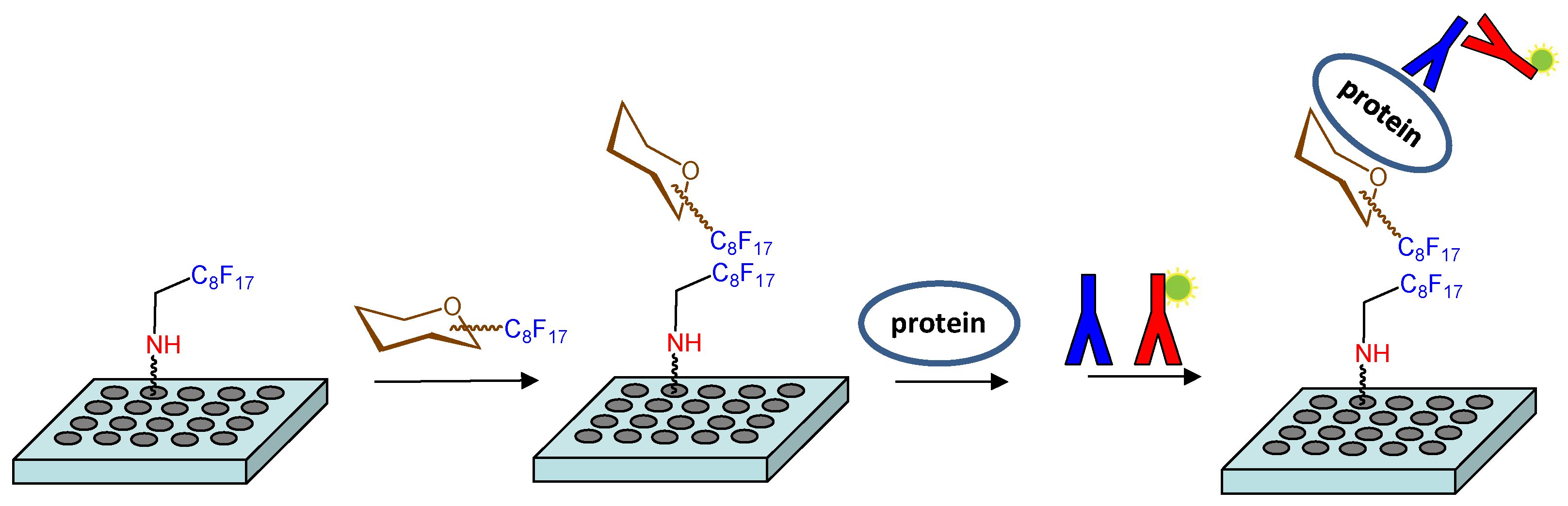 Molecules 24 01591 g001