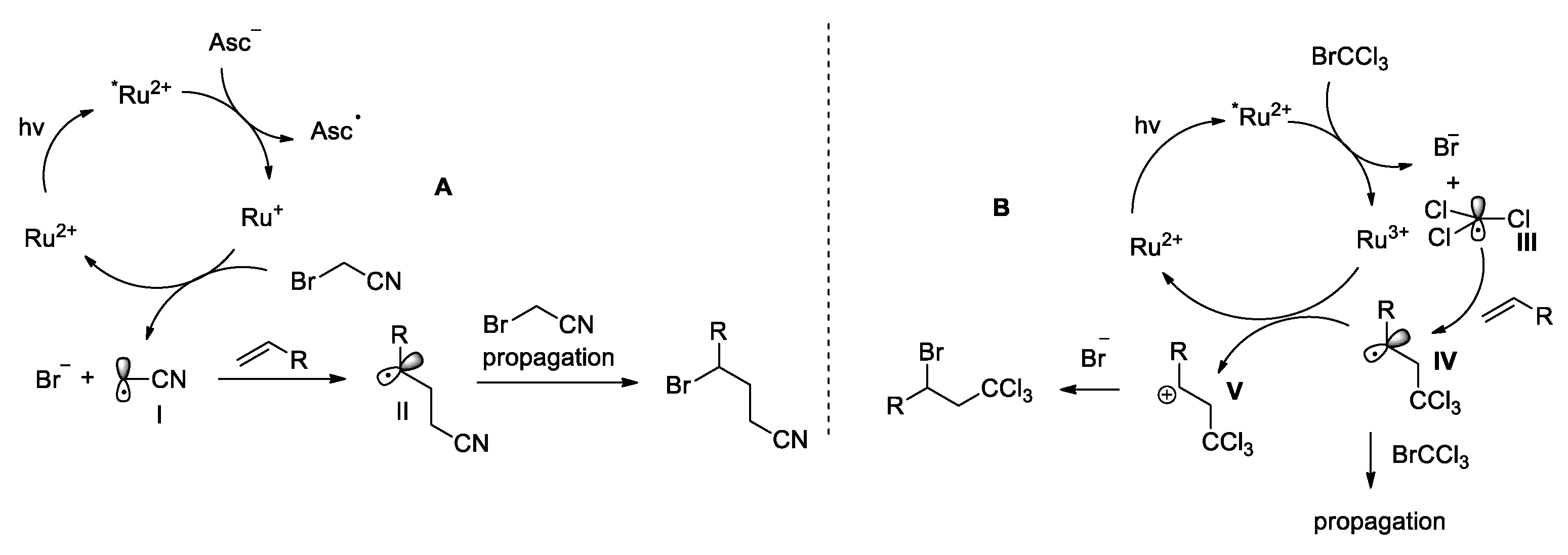 Molecules 24 01644 sch008