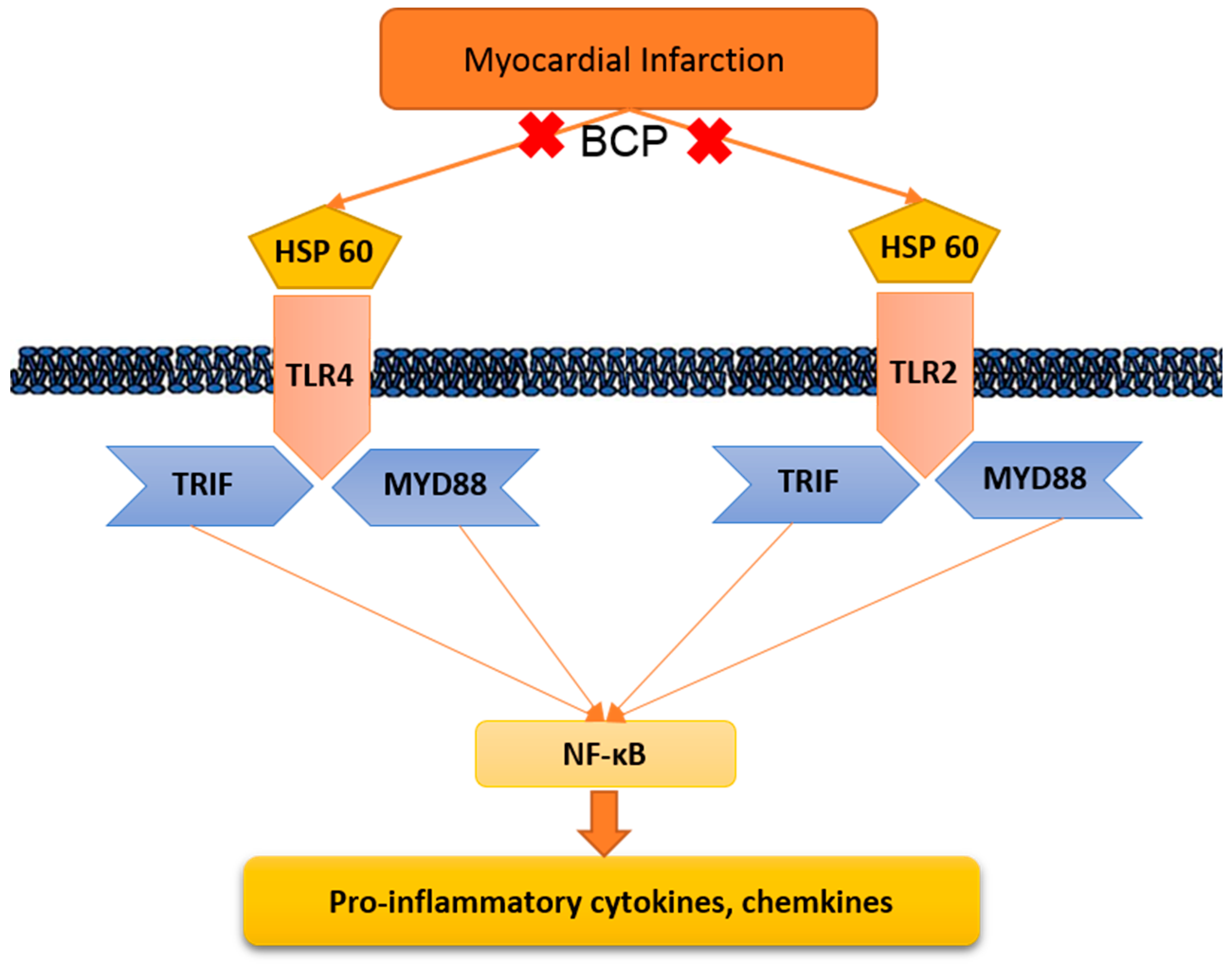 Molecules 24 01929 g009