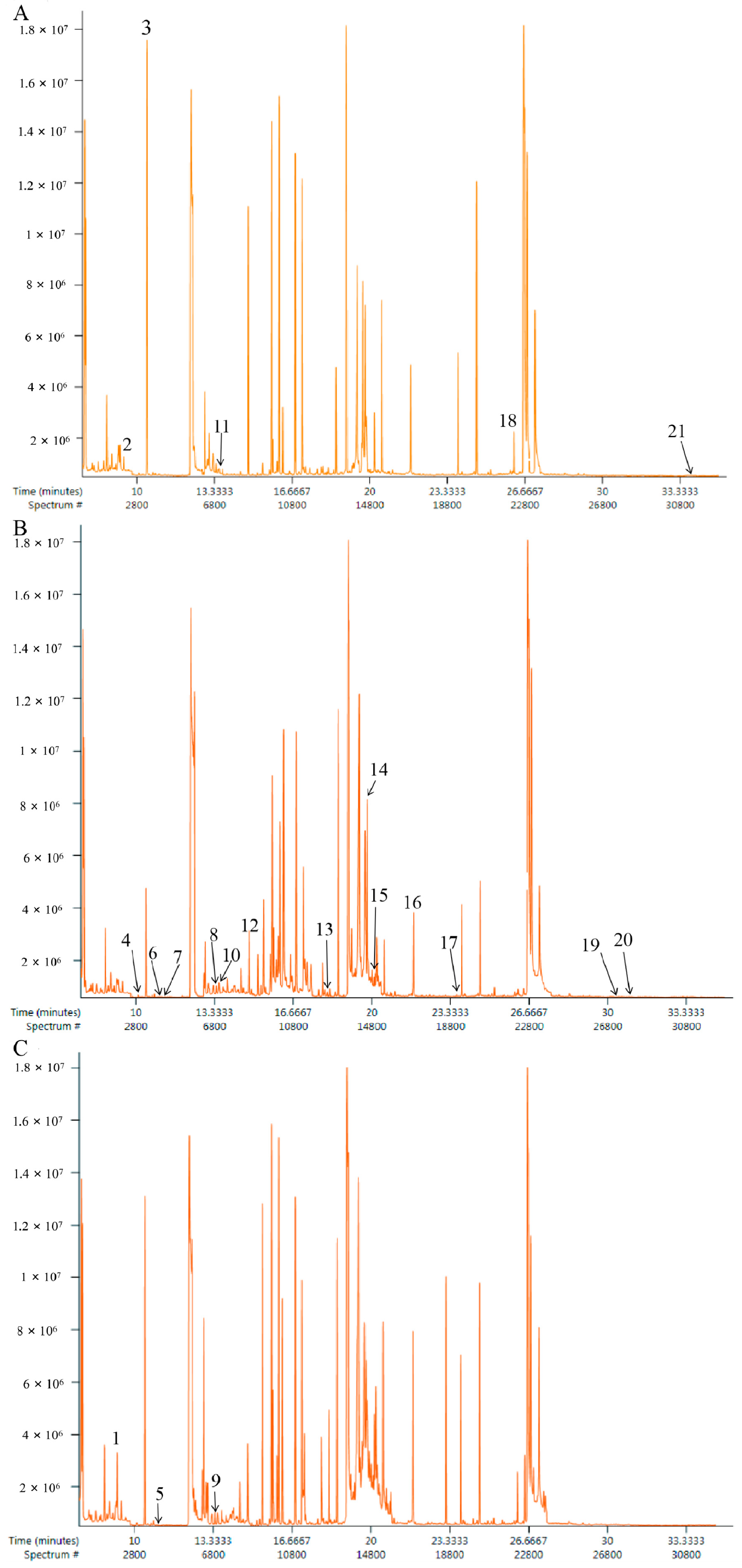 Molecules 24 01934 g003