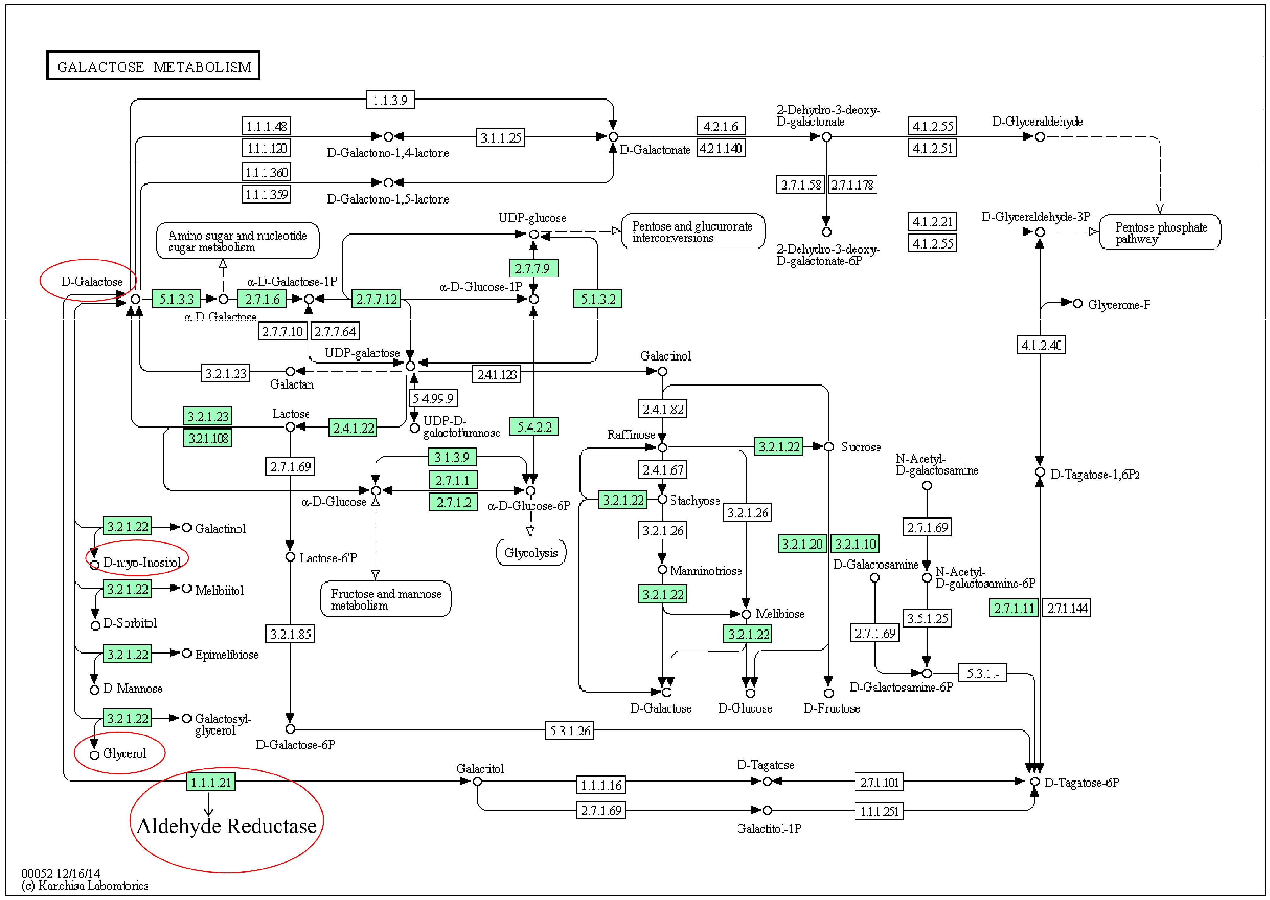 Molecules 24 01934 g008