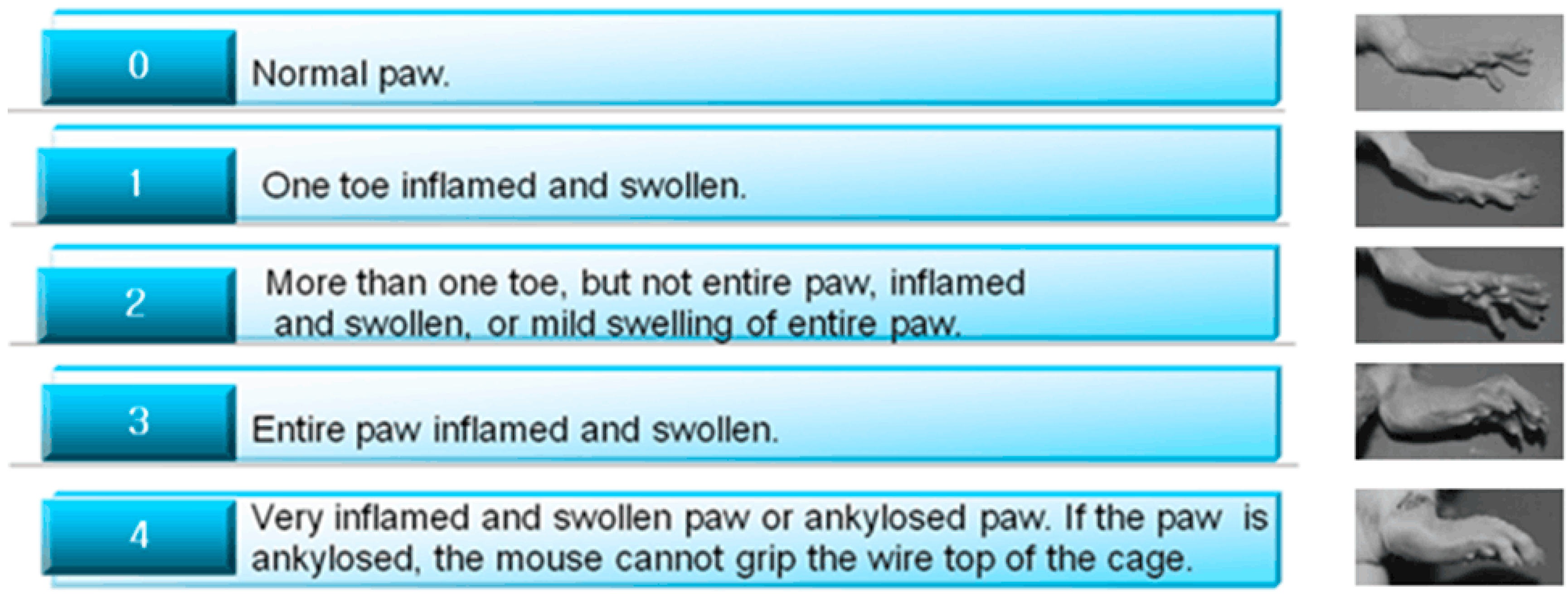 Molecules 24 01934 g009