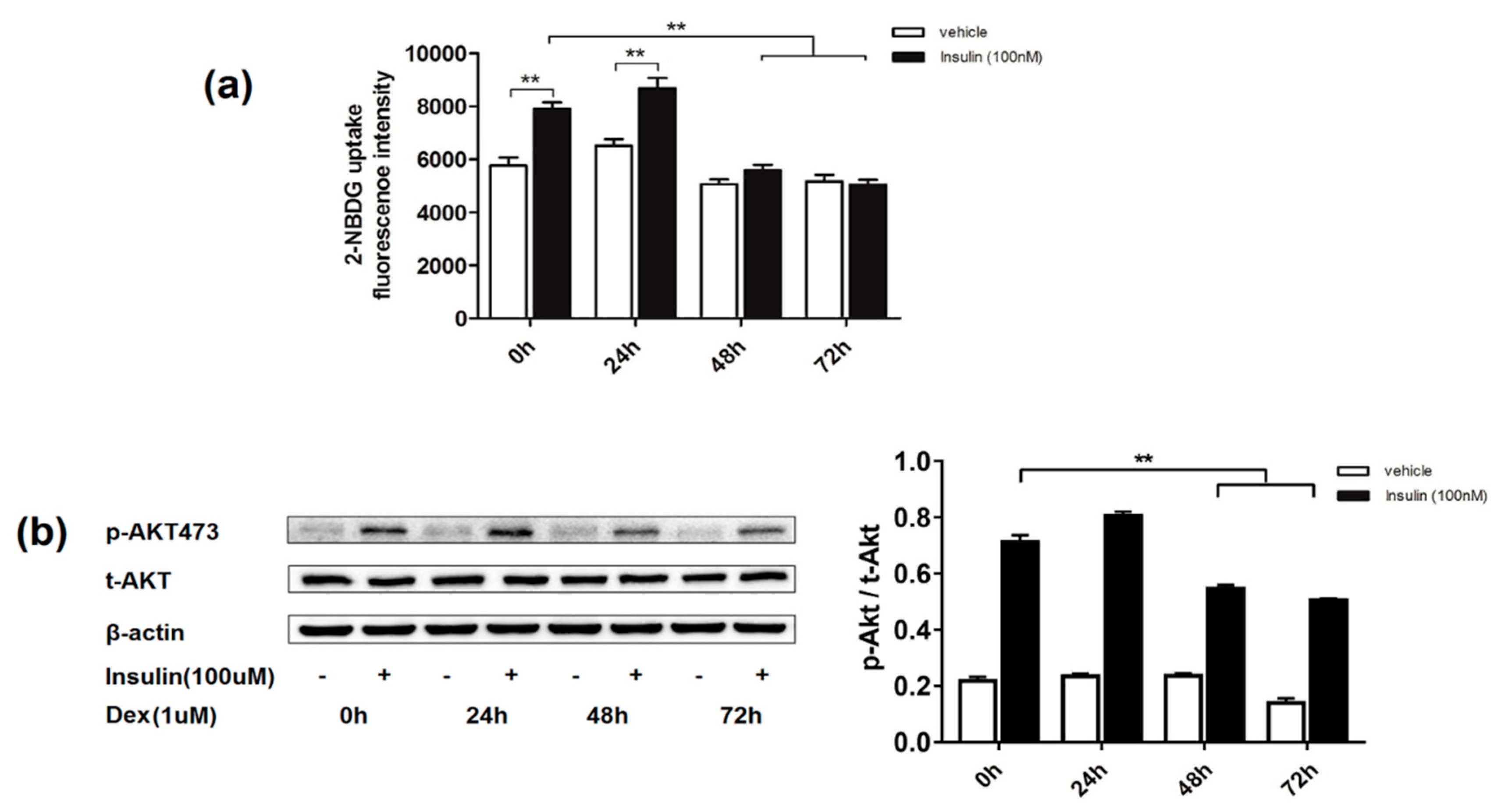 Molecules 24 01982 g001