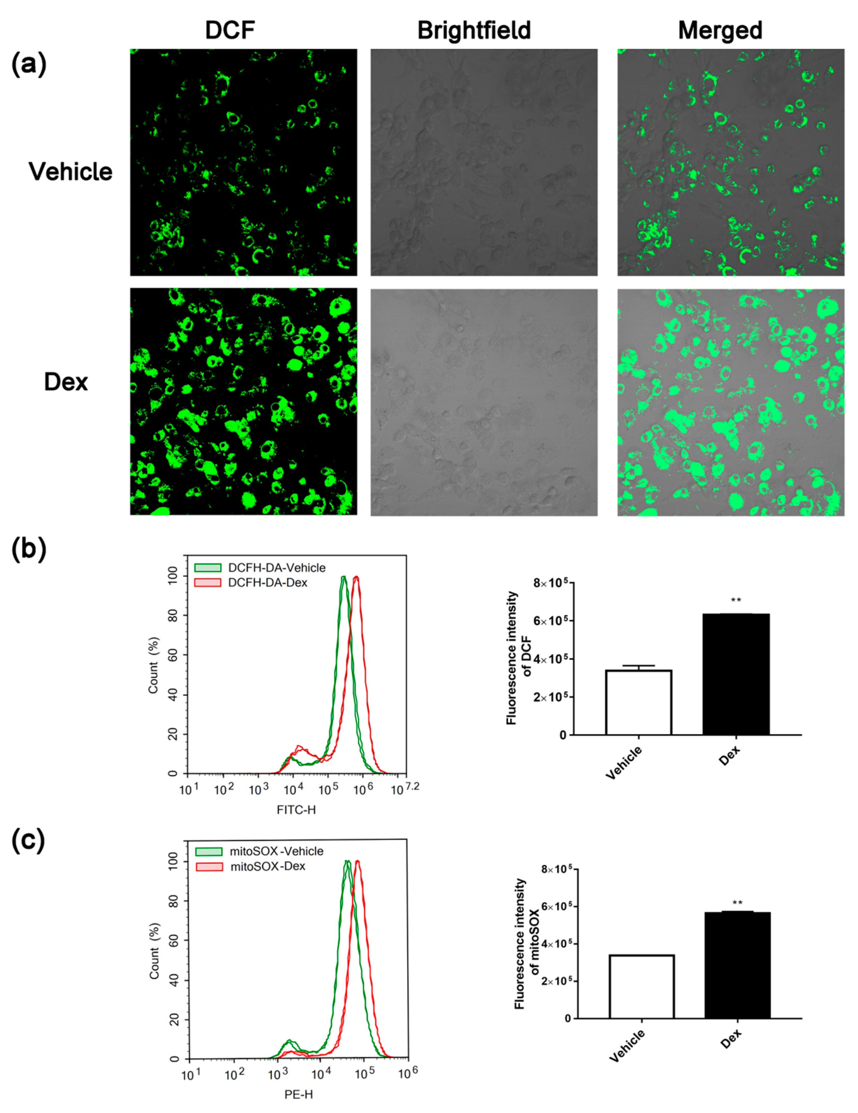 Molecules 24 01982 g002