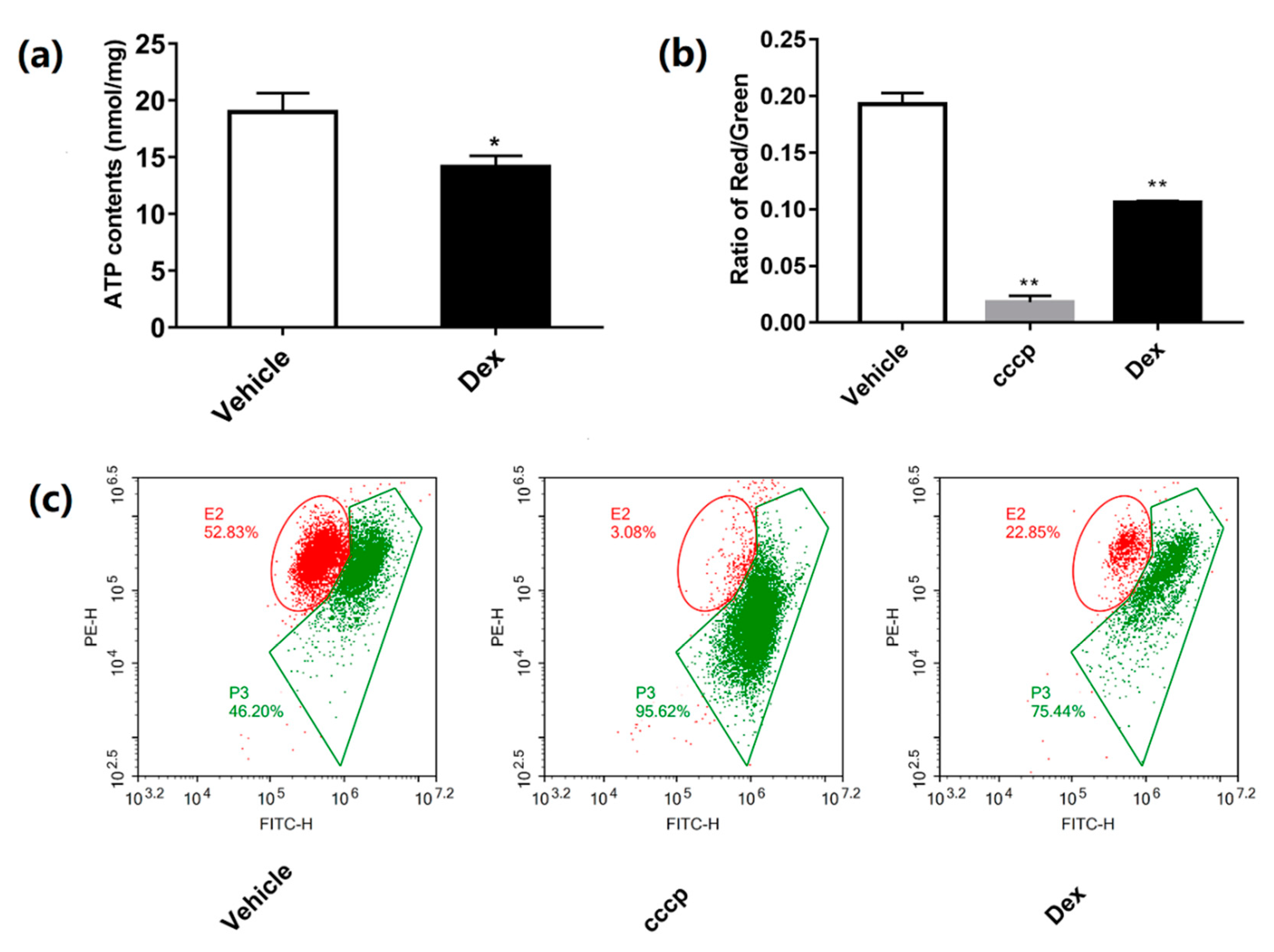 Molecules 24 01982 g003
