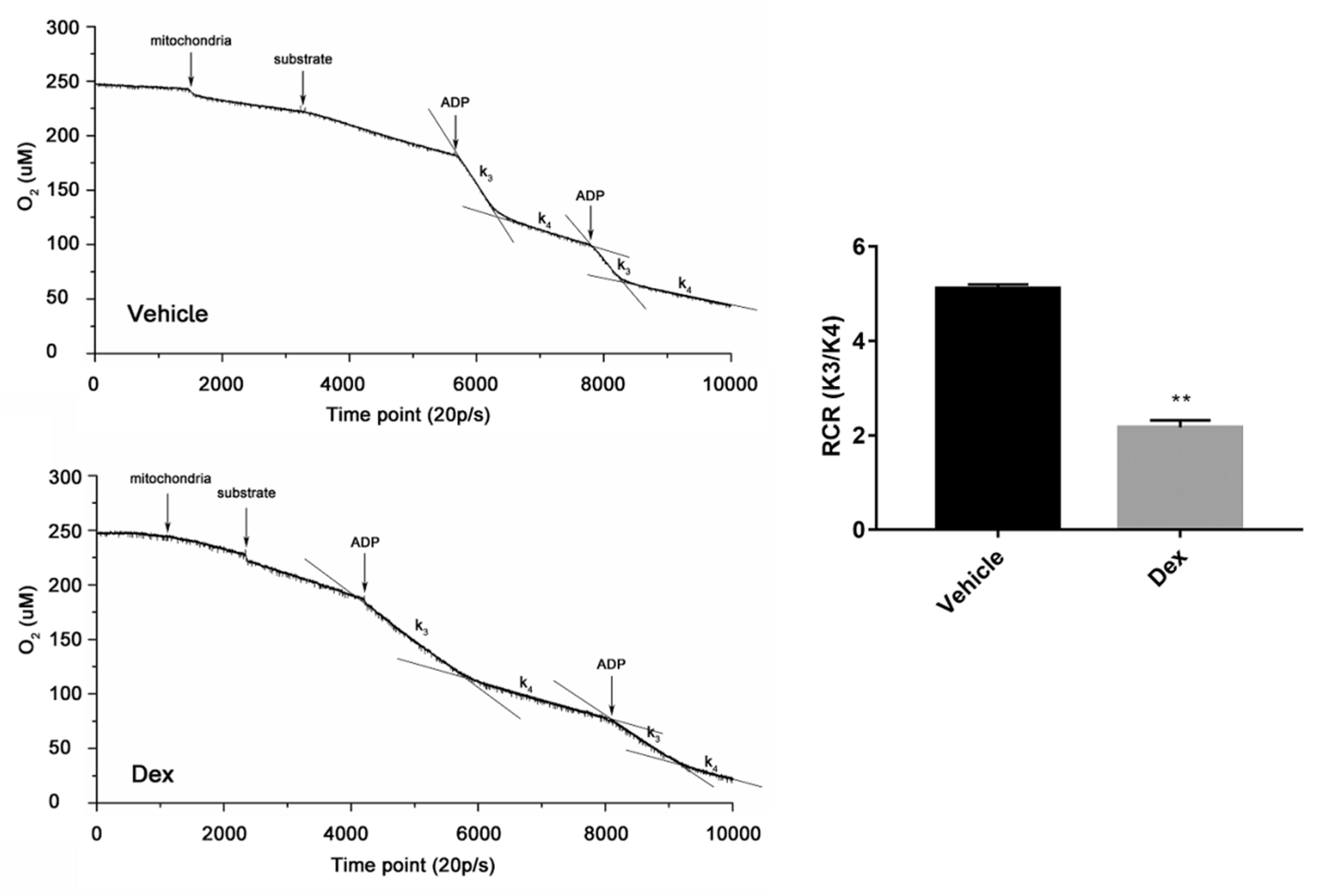 Molecules 24 01982 g006