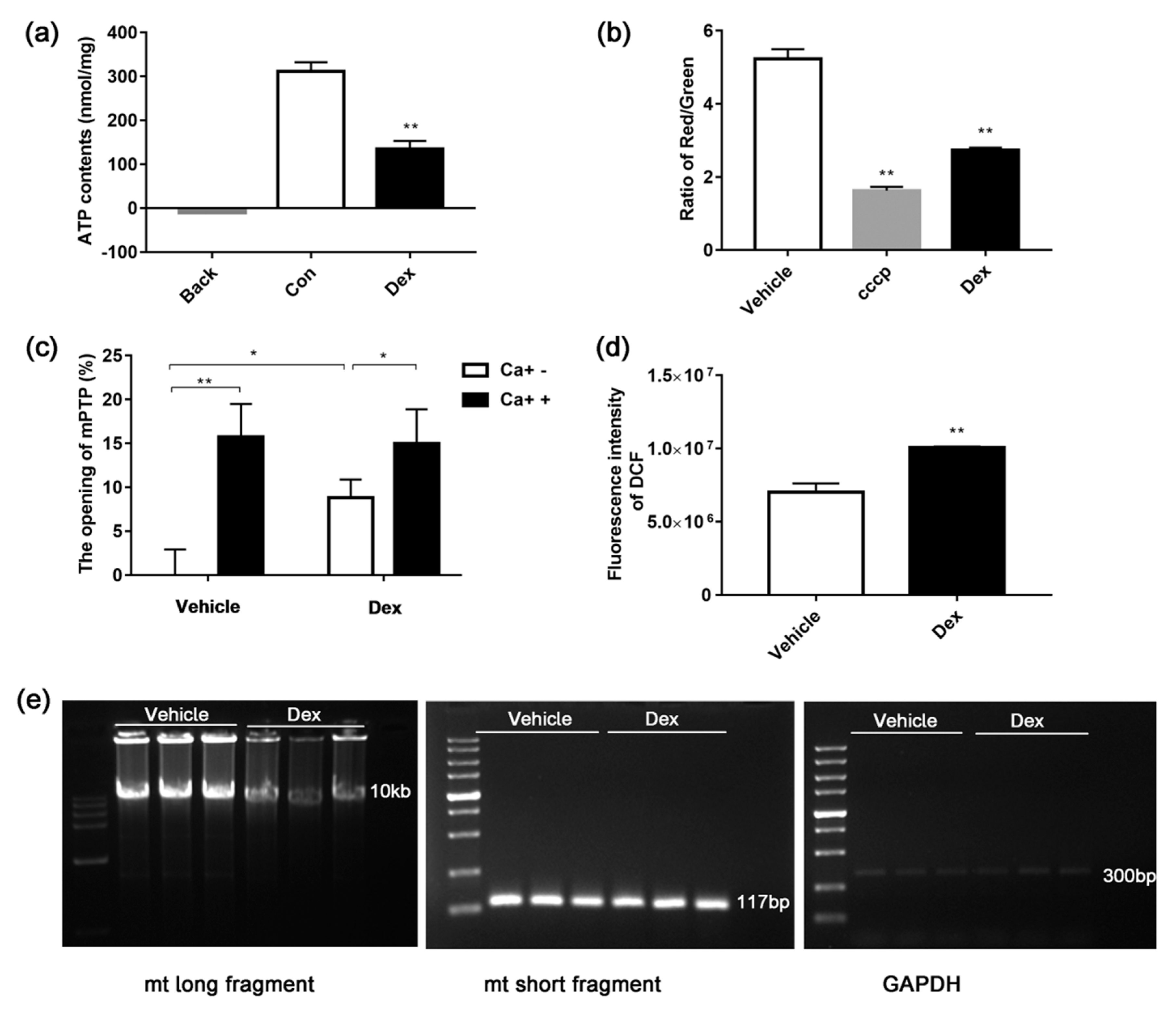Molecules 24 01982 g007