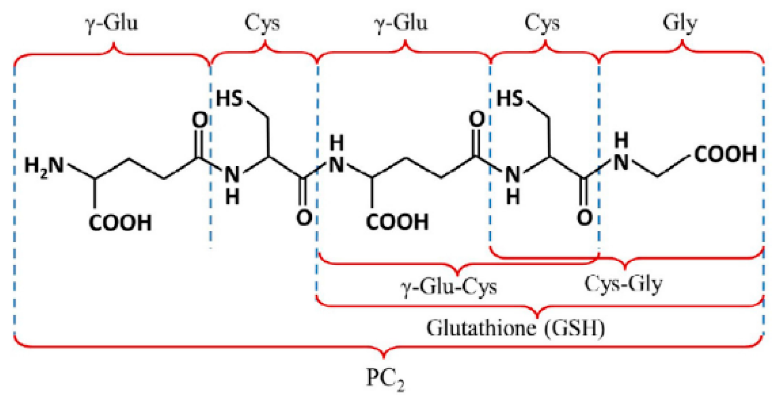 Molecules 24 02200 g001