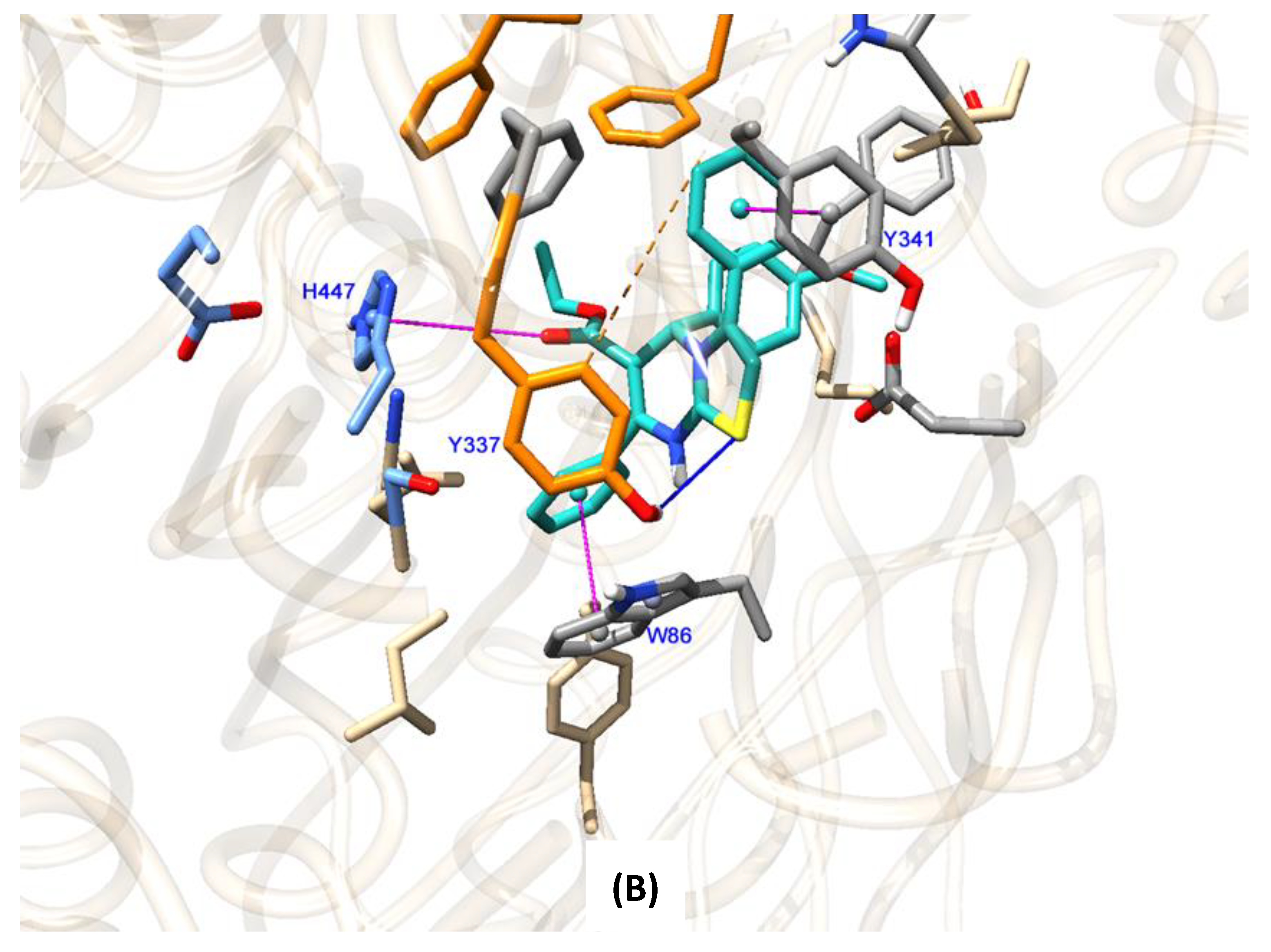 Molecules 24 02306 g007b
