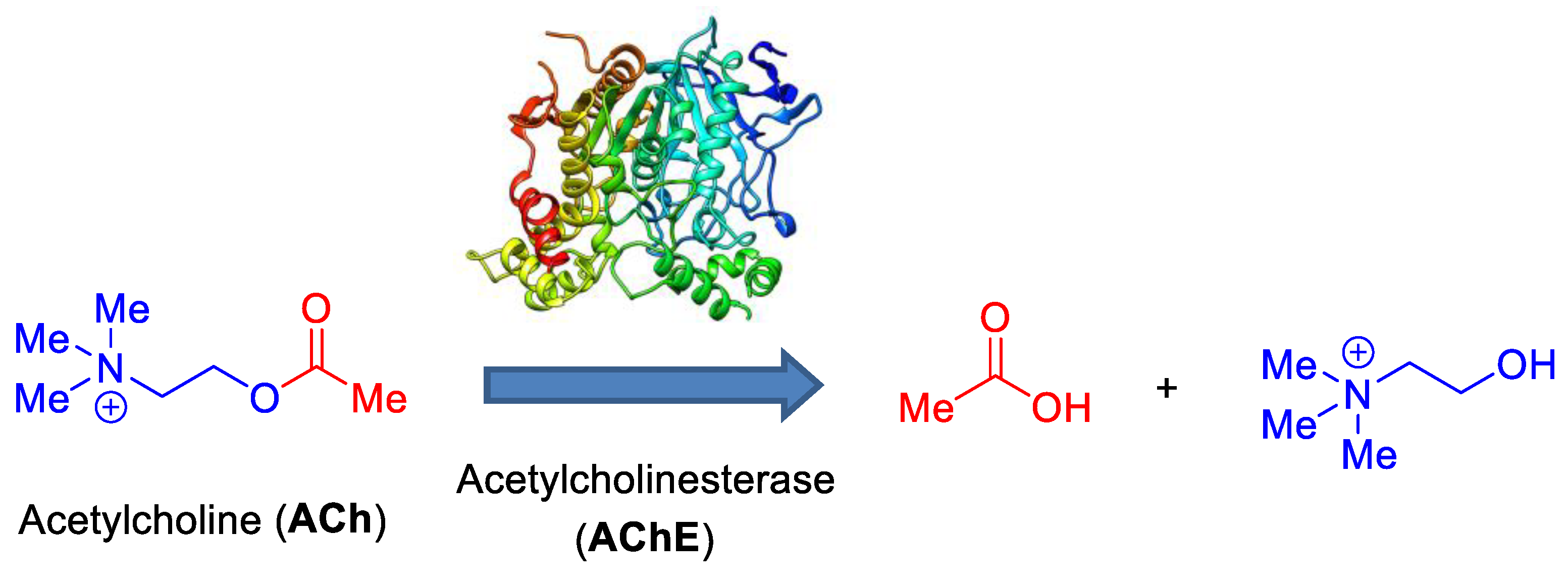 Molecules 24 02306 sch001