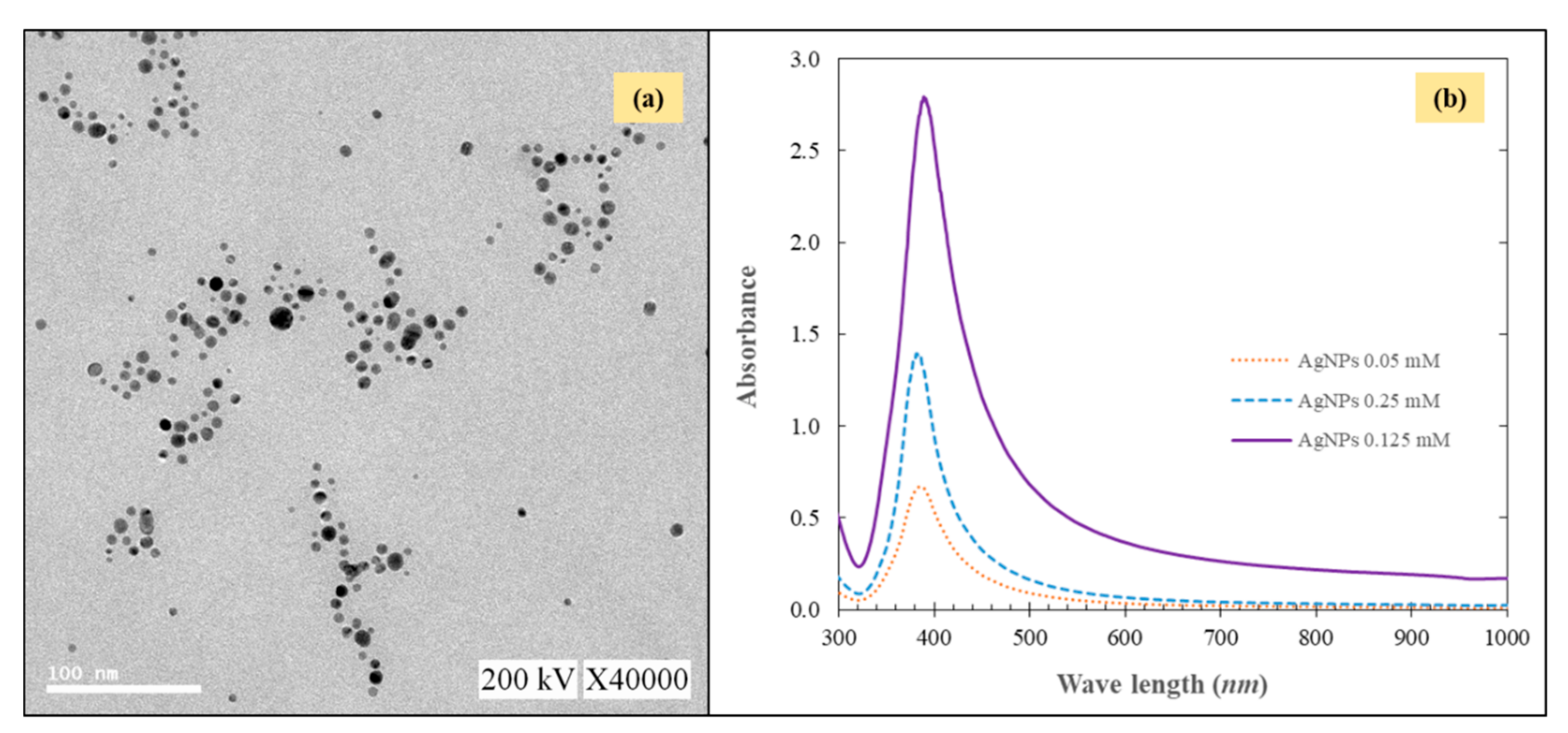 Molecules 24 02345 g001