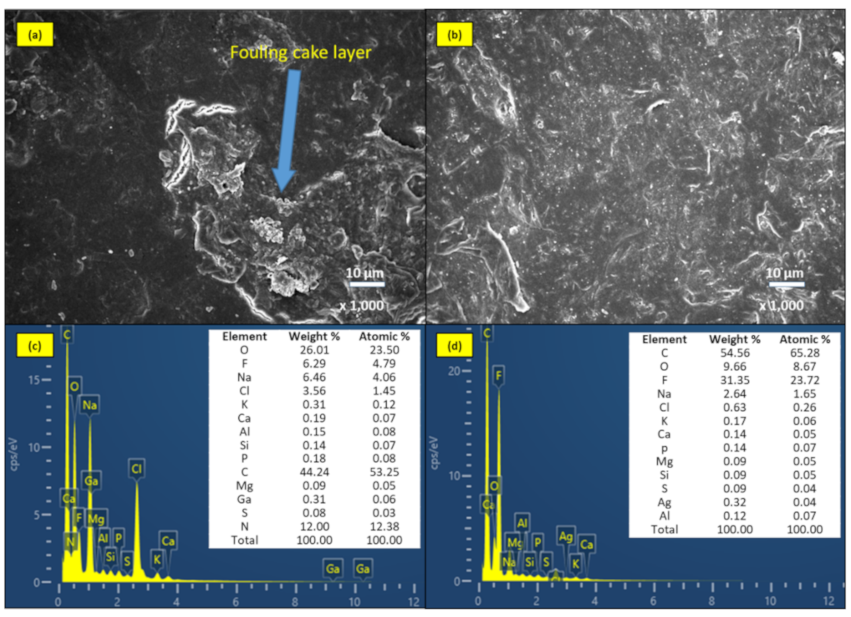 Molecules 24 02345 g006