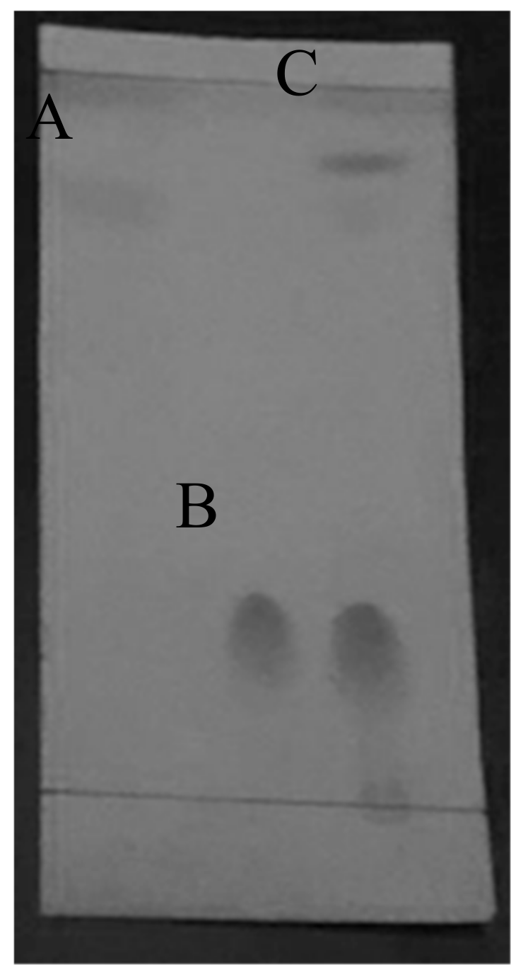 Molecules 24 02439 g003